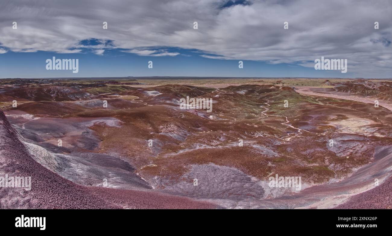 La vallée du Nord au-dessous de la Blue Mesa dans le parc national Petrified Forest, Arizona, États-Unis d'Amérique, Amérique du Nord Banque D'Images