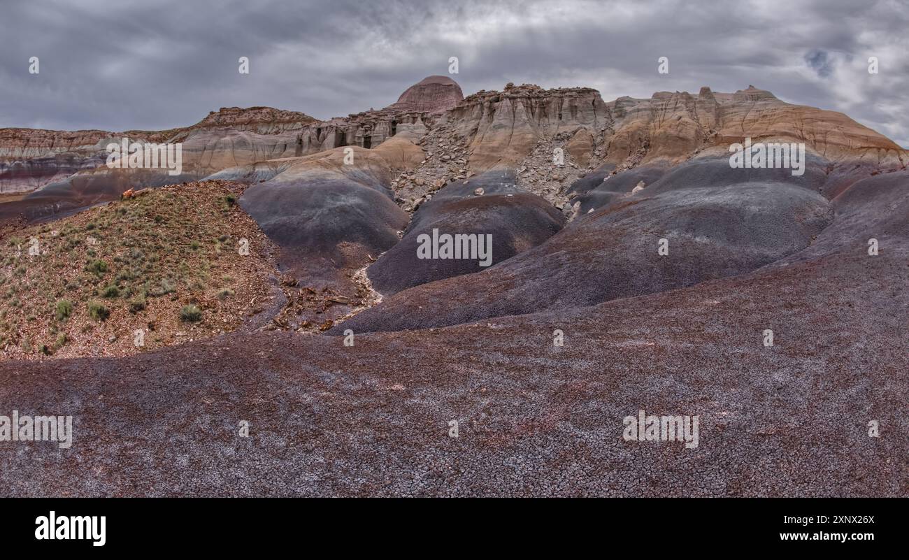 Hoodoo remplit les falaises du côté nord de Blue Mesa dans le parc national Petrified Forest, Arizona, États-Unis d'Amérique, Amérique du Nord Banque D'Images