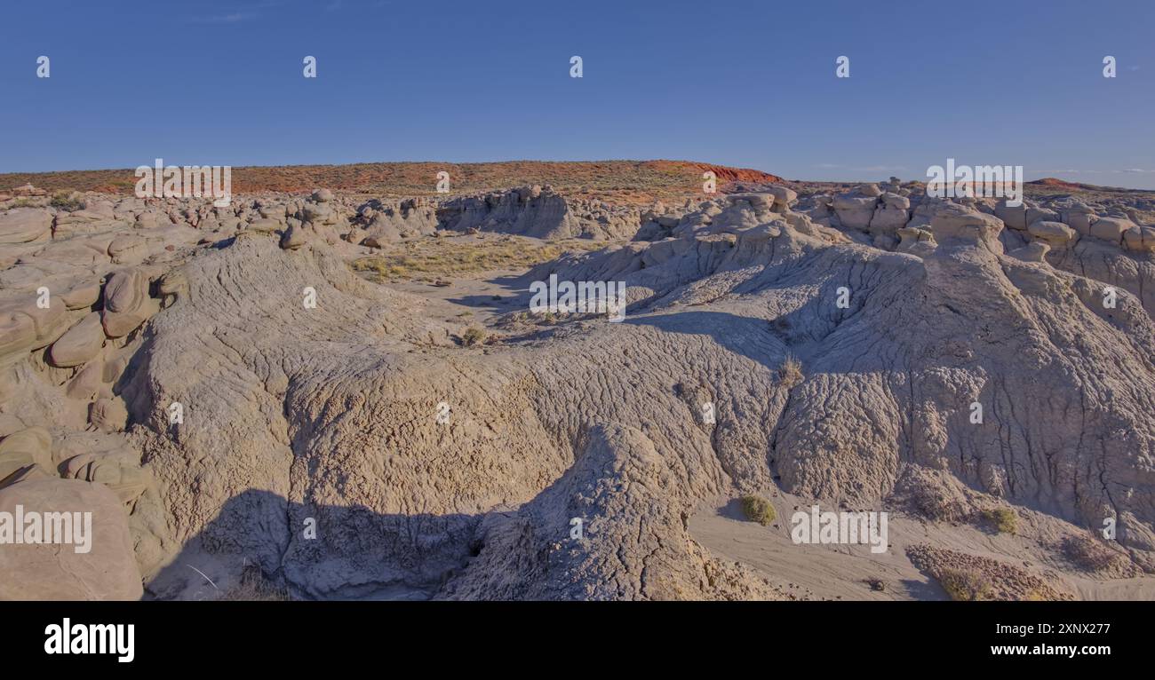 Jardin de gobelin à l'ouest de Hamilili point dans le parc national de la forêt pétrifiée, Arizona, États-Unis d'Amérique, Amérique du Nord Banque D'Images