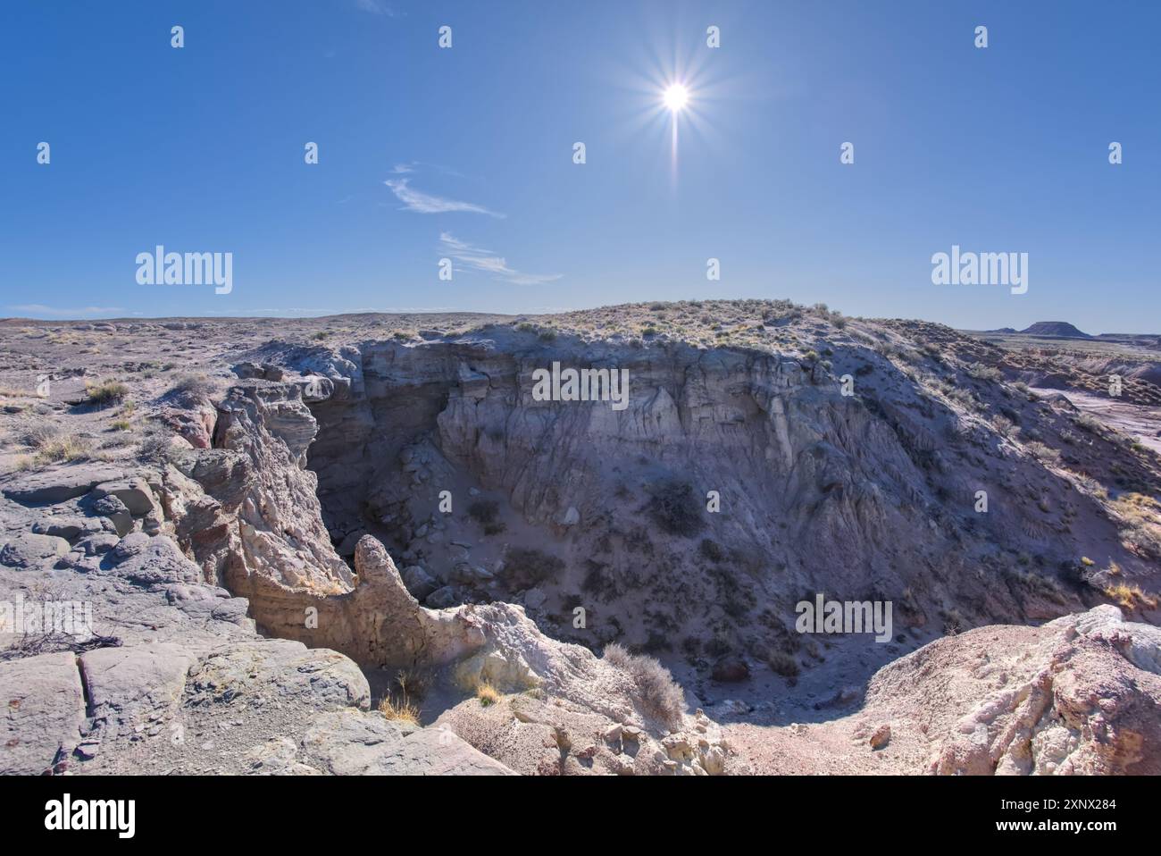 Chute d'eau sèche à l'ouest de Hamilili point dans le parc national Petrified Forest, Arizona, États-Unis d'Amérique, Amérique du Nord Banque D'Images