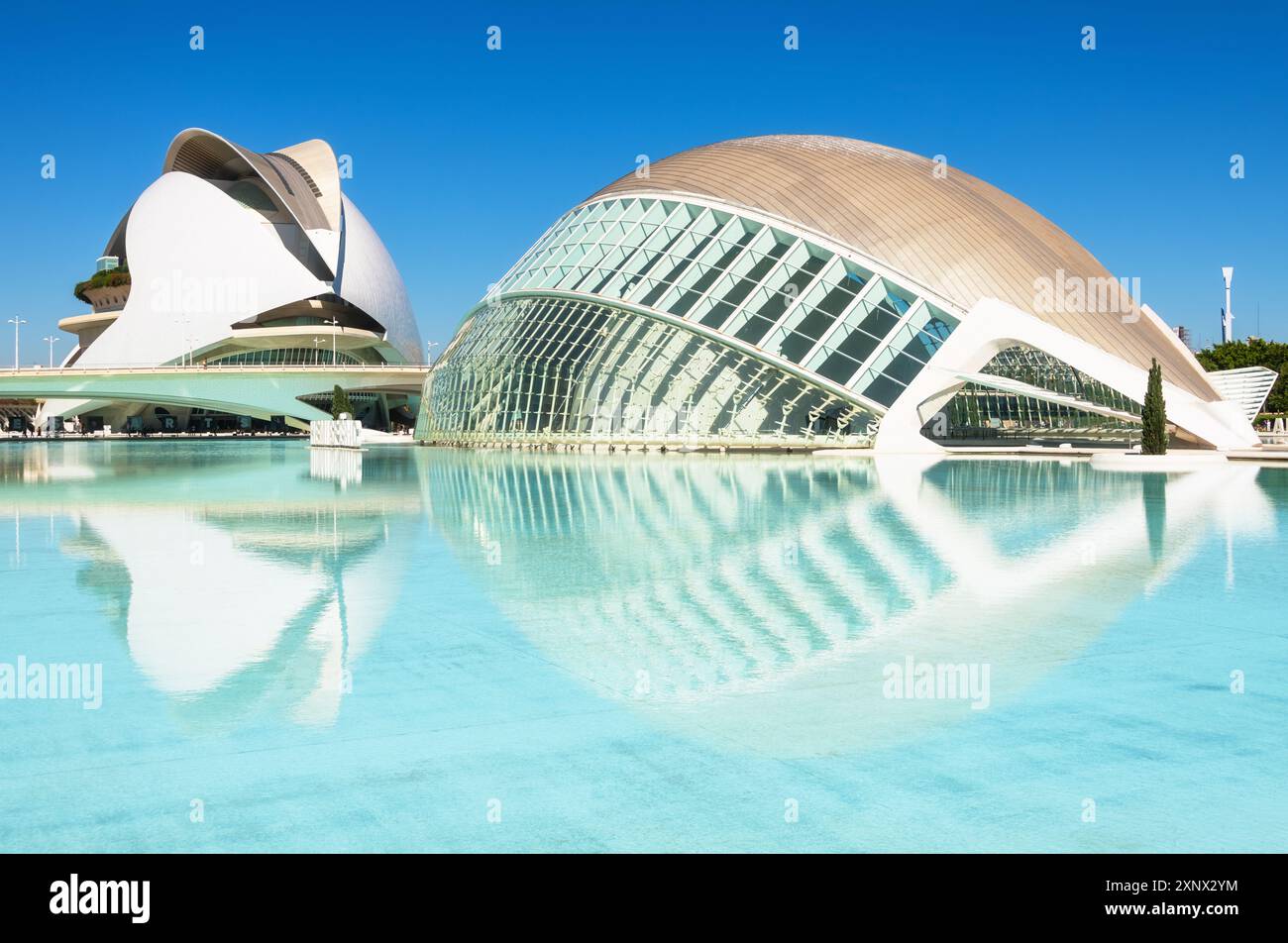 Réflexions de Palau de les Arts Reina Sofia et Museu de les ciencies principe Felipe de Ciudad de las Artes y las Ciencias, Valence, Espagne Banque D'Images