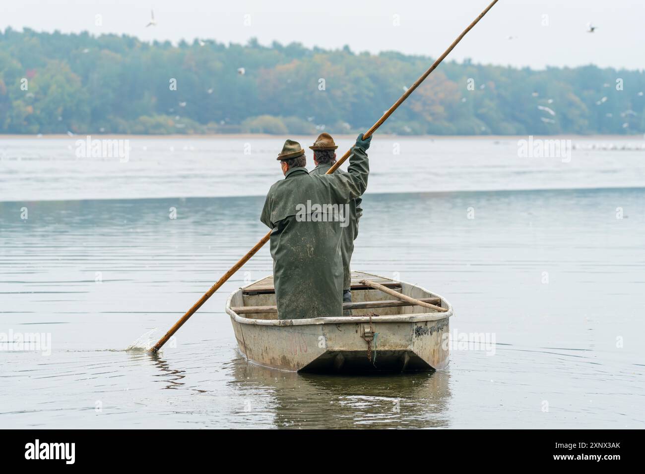 Deux pêcheurs sur le bateau se préparant à la récolte de poissons, Rozmberk Pond, UNESCO Biosphere, Trebon, Jindrichuv Hradec District, région de Bohême du Sud Banque D'Images