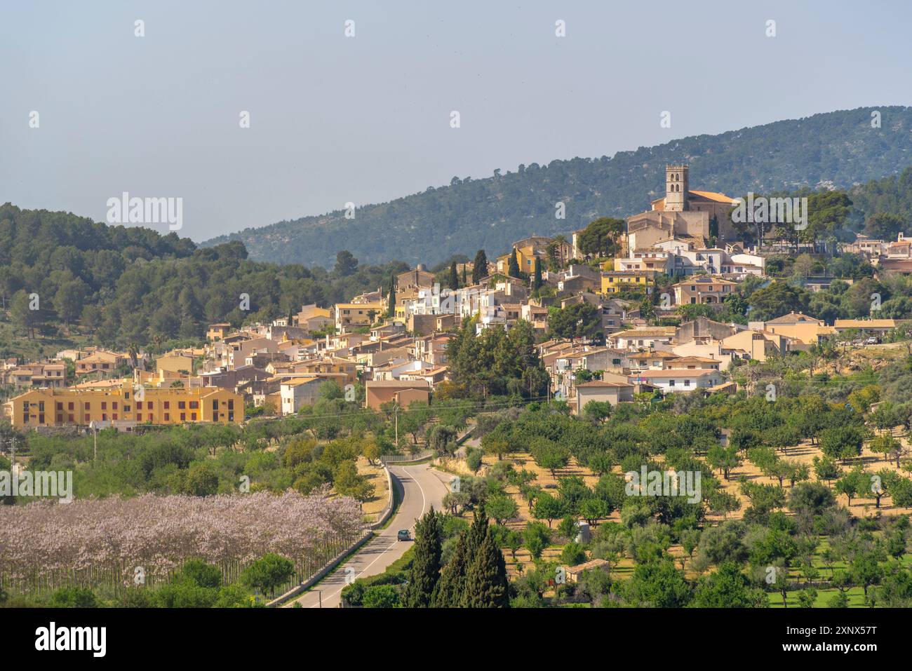 Vue de la ville perchée de Selva, Majorque, Îles Baléares, Espagne, Méditerranée, Europe Banque D'Images