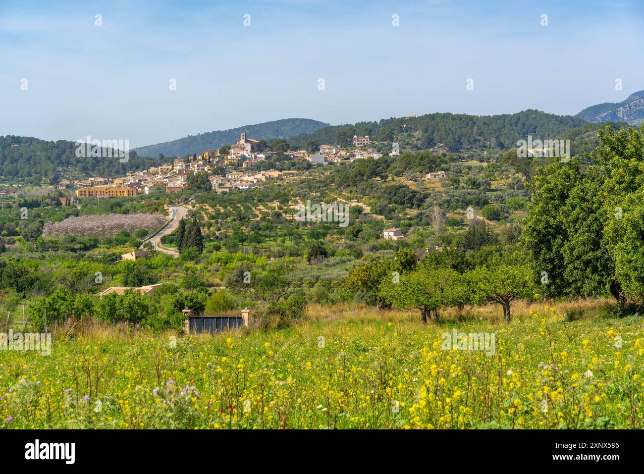 Vue de la ville perchée de Selva, Majorque, Îles Baléares, Espagne, Méditerranée, Europe Banque D'Images