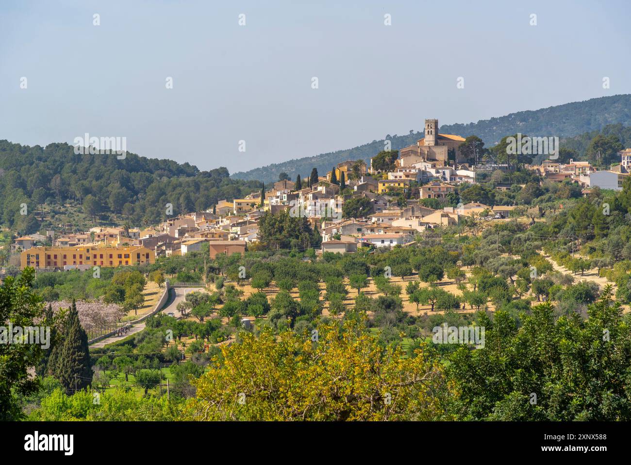 Vue de la ville perchée de Selva, Majorque, Îles Baléares, Espagne, Méditerranée, Europe Banque D'Images