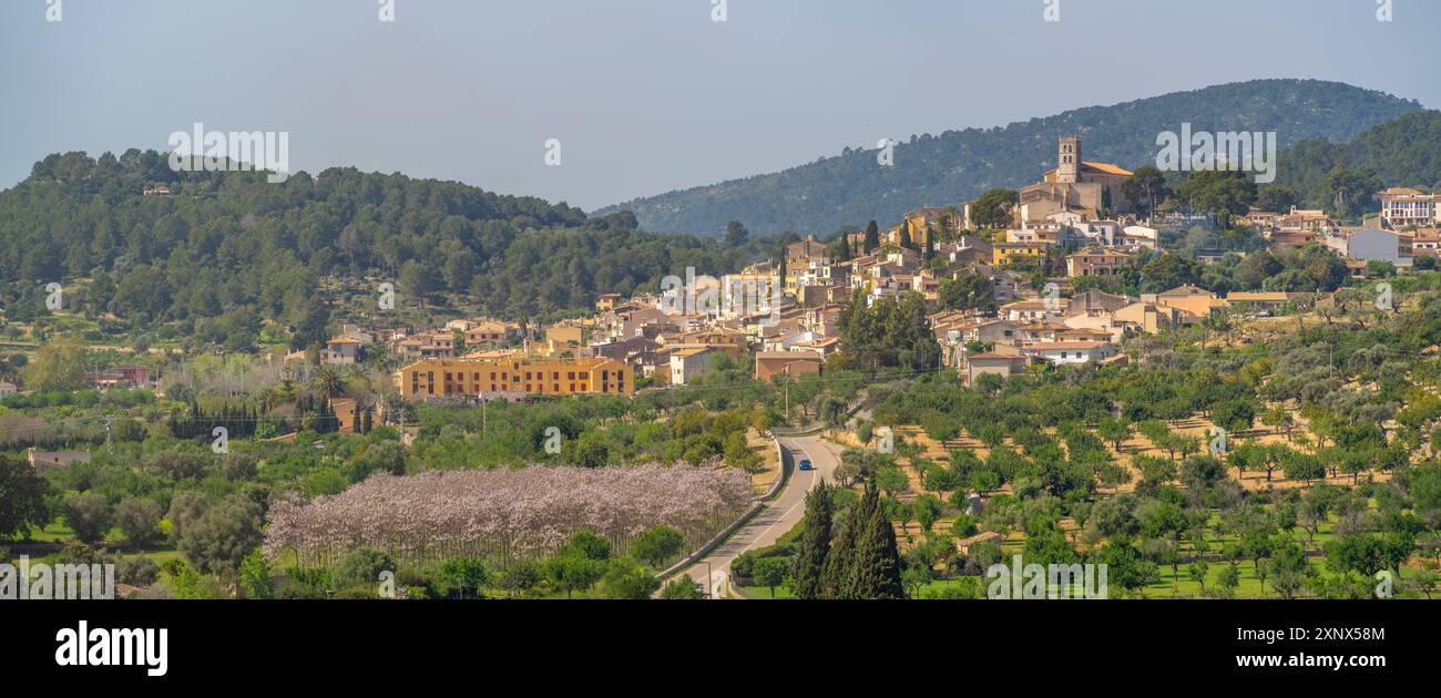 Vue de la ville perchée de Selva, Majorque, Îles Baléares, Espagne, Méditerranée, Europe Banque D'Images
