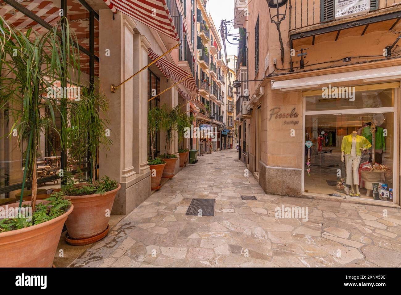 Vue des magasins et de l'architecture à Palma, Palma de Majorque, Majorque, Îles Baléares, Espagne, Méditerranée, Europe Banque D'Images