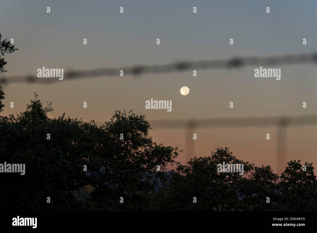 Pleine lune au lever du soleil derrière une clôture métallique avec un ciel rouge Banque D'Images