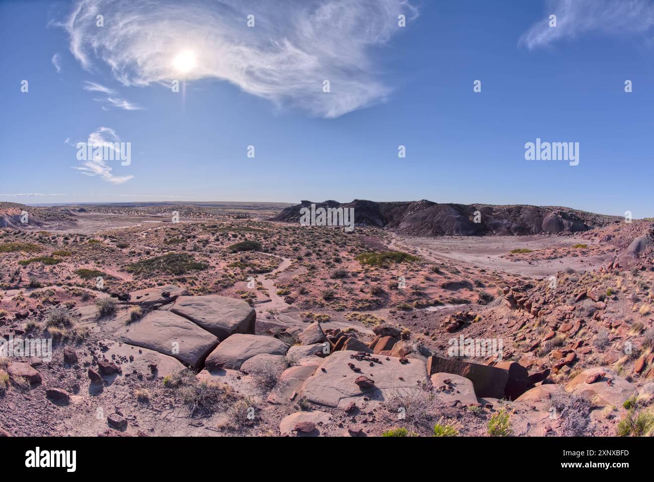 Vue de Crystal Mesa à l'ouest de Hamilili point dans le parc national Petrified Forest, Arizona, États-Unis d'Amérique, Amérique du Nord Copyright : StevenxLove Banque D'Images