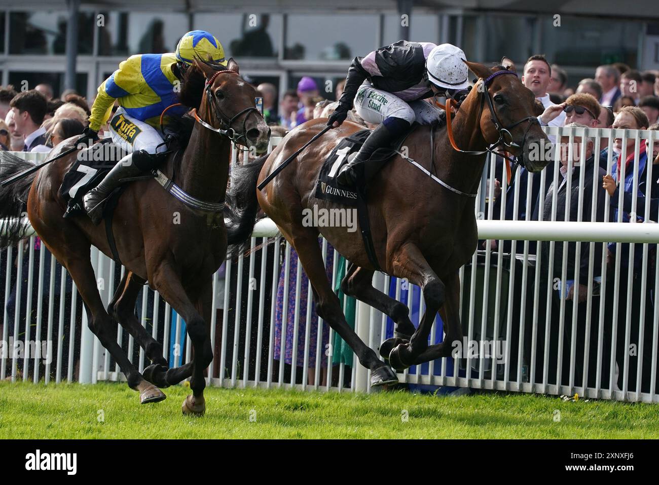 Battleoverdoyen monté par Danny Gilligan (à droite) sur leur chemin pour remporter la course aux handicaps Guinness Galway Blazers lors de la cinquième journée du Galway races Summer Festival à l'hippodrome de Galway. Date de la photo : vendredi 2 août 2024. Banque D'Images