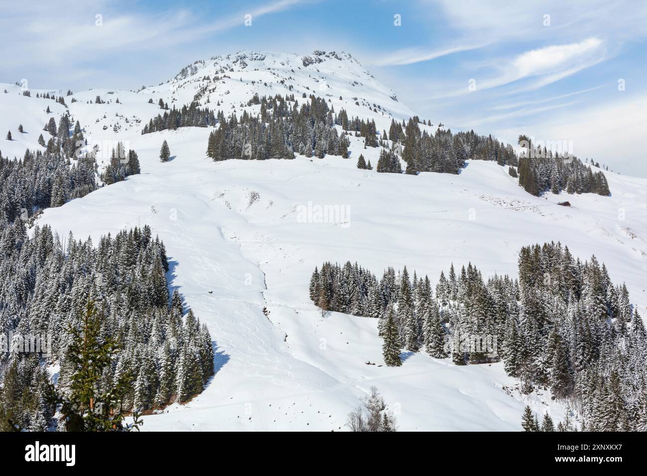 Panorama du paysage de neige d'hiver dans les Alpes autrichiennes montagnes et pins, Autriche Banque D'Images