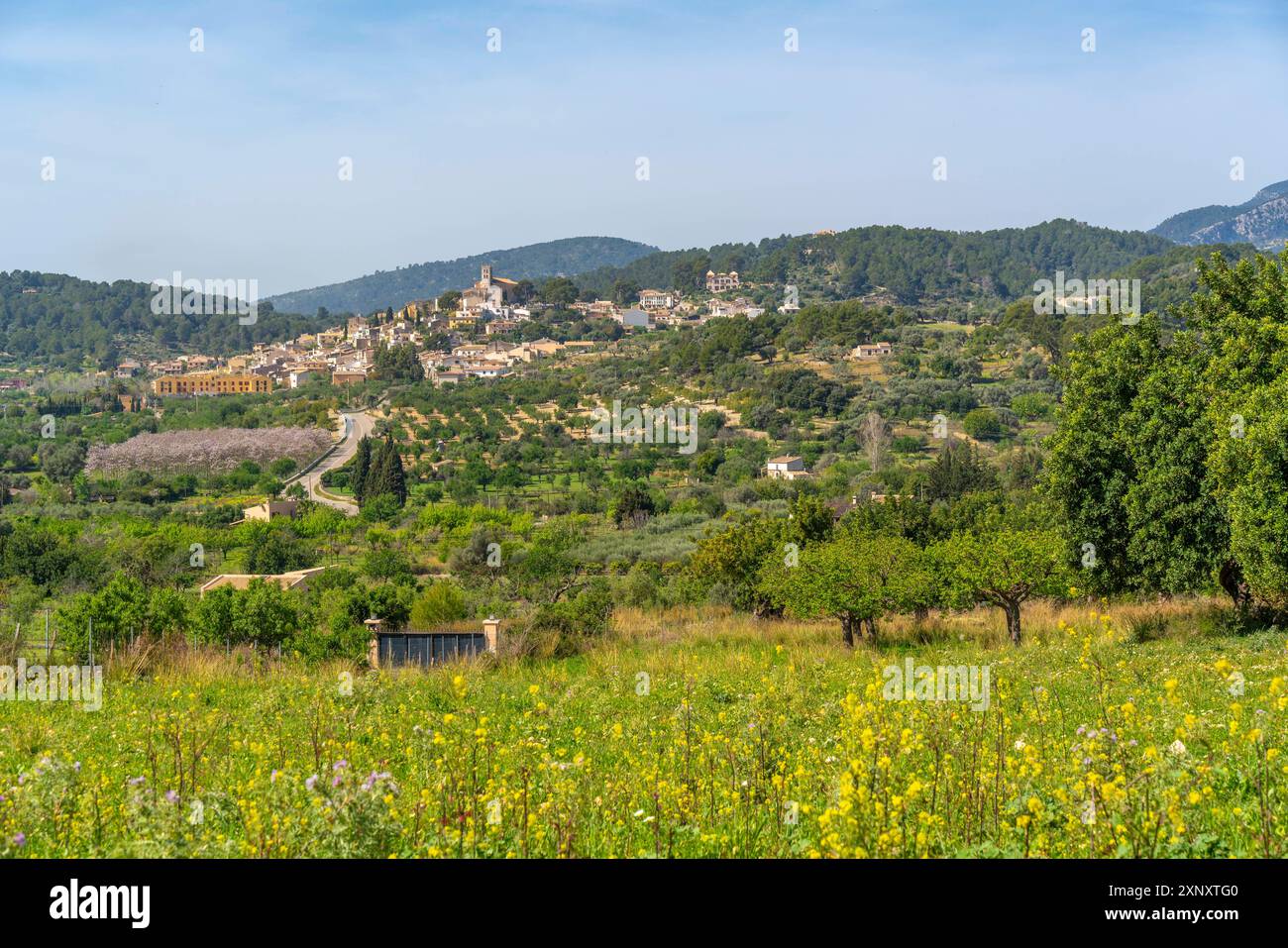 Vue de la ville perchée de Selva, Majorque, Îles Baléares, Espagne, Méditerranée, Europe Copyright : FrankxFell 844-34574 Banque D'Images