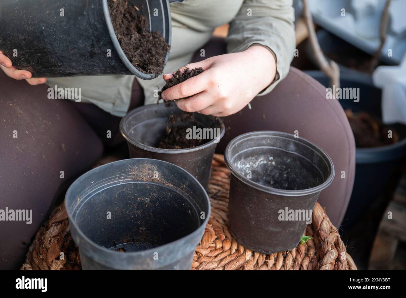 Femme remplissant le sol d'un grand pot noir en trois plus petits pots sur le balcon, jardinage, aucun visage visible Banque D'Images