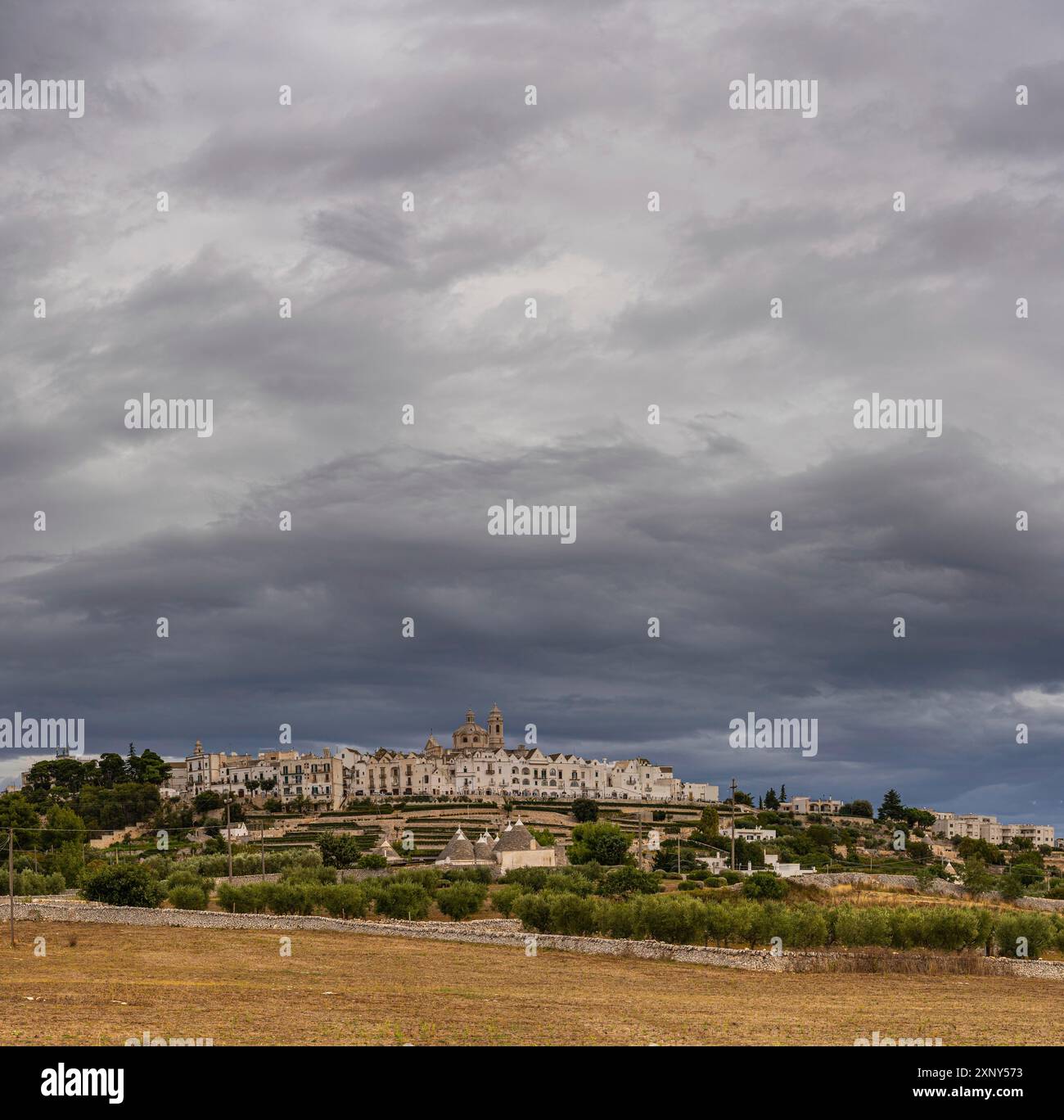 Vue sur la ligne d'horizon de Locortondo à Puglia depuis an champ d'olivier Banque D'Images