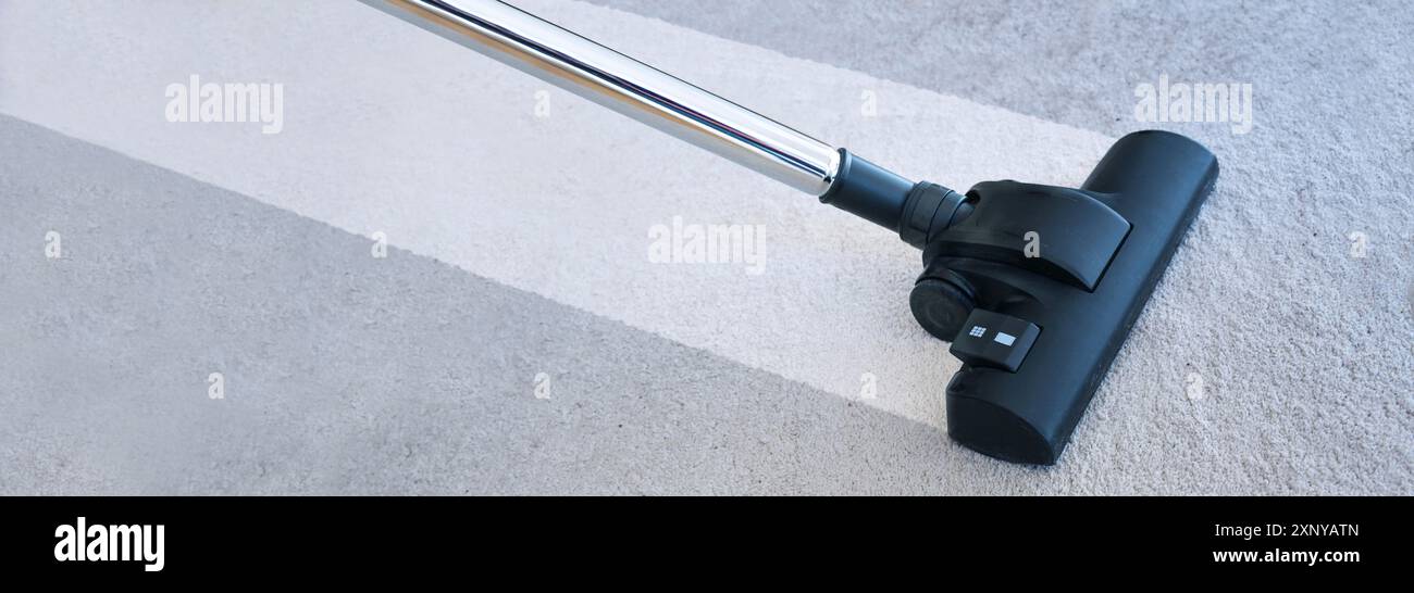 Aspirateur puissant faisant une rayure propre sur un tapis gris, éliminant les acariens de la poussière de maison qui provoque des allergies et de la saleté insalubre, panoramique Banque D'Images