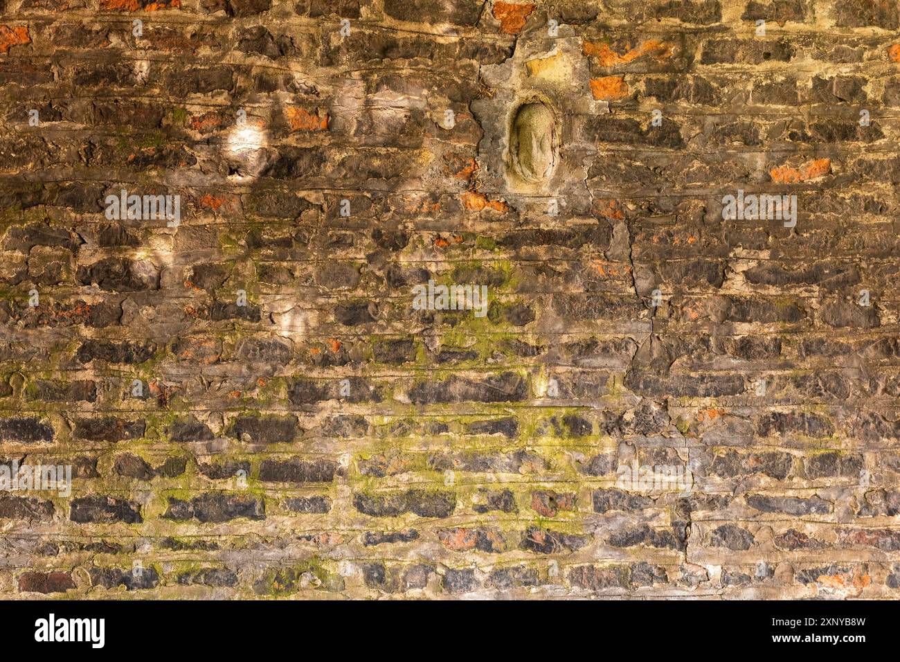 Vue rapprochée d'un vieux mur de briques altérées avec croissance de mousse ajoutant une touche de vert Banque D'Images