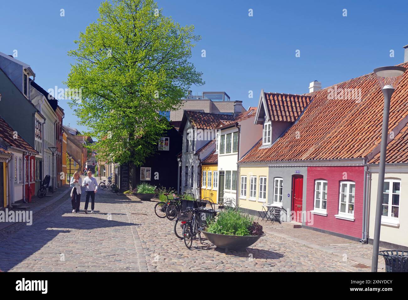 Pittoresque rue de la vieille ville avec des maisons colorées et des vélos sous un ciel bleu au printemps, Odense, Funen, Danemark Banque D'Images