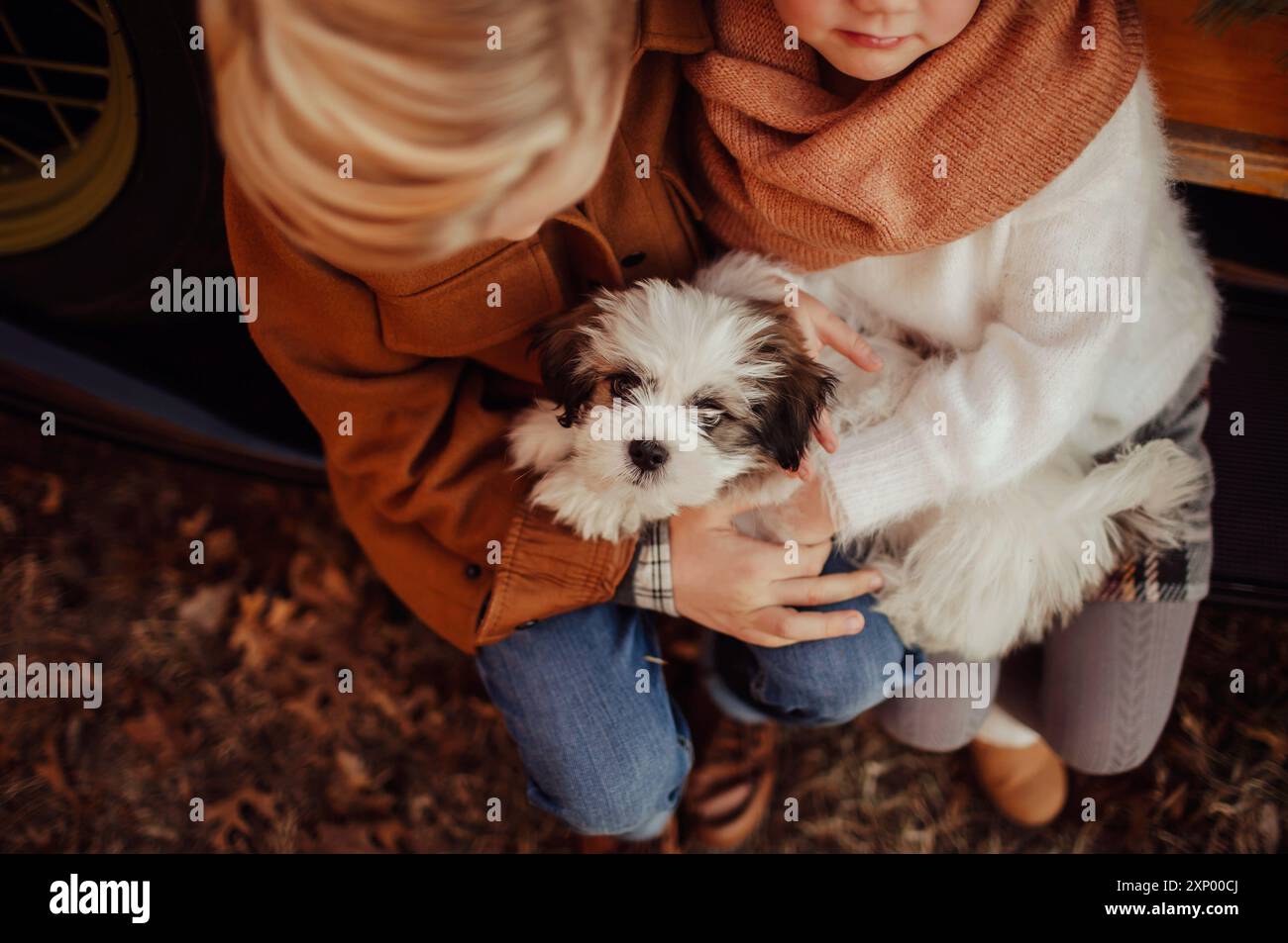 Deux enfants tenant un chiot moelleux blanc et brun sur leurs genoux, aucun visage d'enfant montré, cadre d'hiver, tenues d'hiver, frères et sœurs, couches Banque D'Images