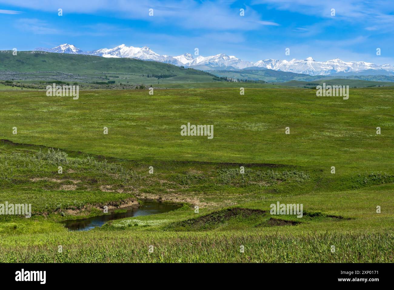 Vue sur le paysage des Rocky Mountain Foothills depuis l'autoroute 22 au sud de Calgary Banque D'Images