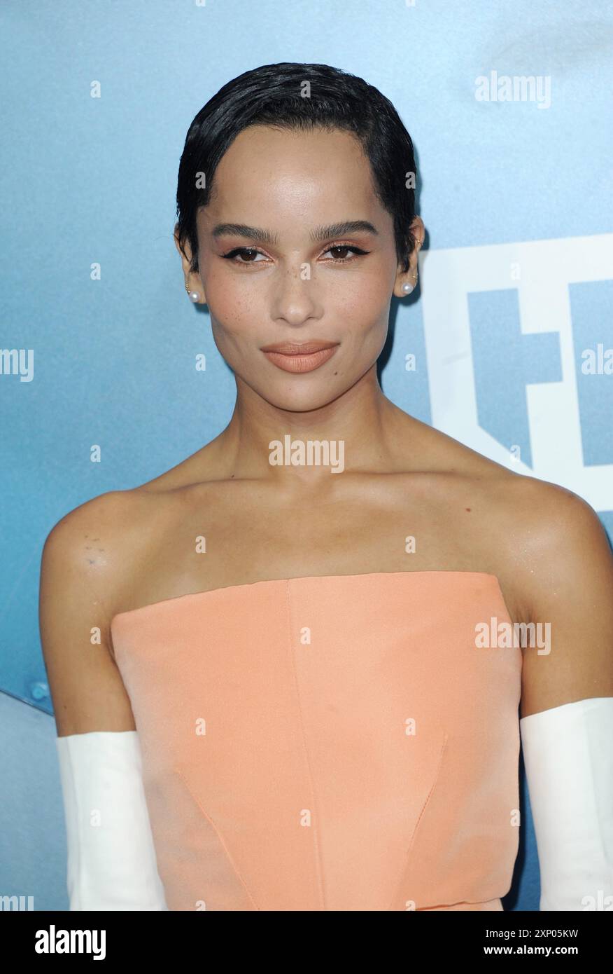 Zoe Kravitz à la 26e cérémonie annuelle Screen Actors Guild Awards qui s'est tenue au Shrine Auditorium de Los Angeles, États-Unis, le 19 janvier 2020 Banque D'Images