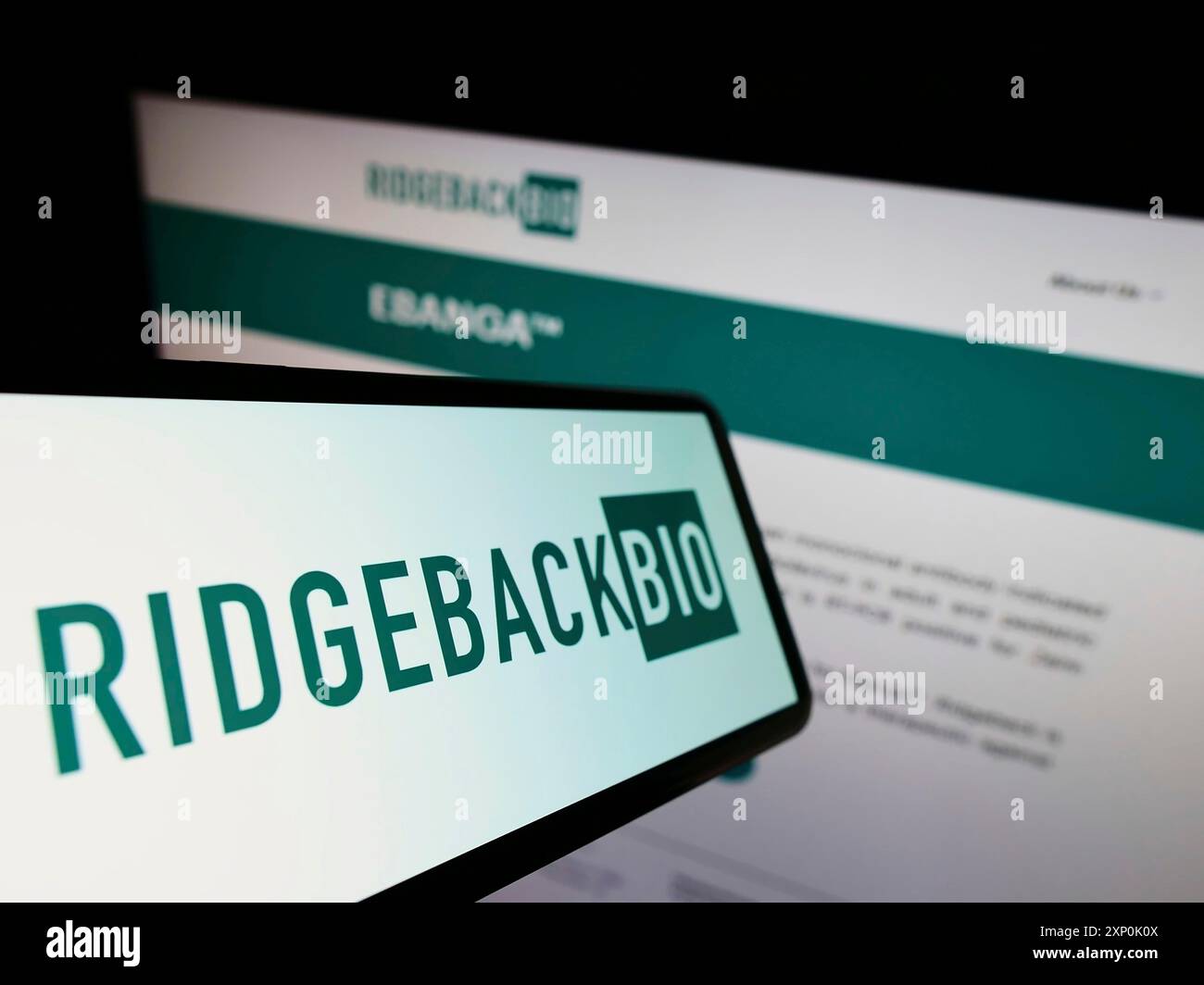 Stuttgart, Allemagne, 01-28-2022, smartphone avec logo de la société américaine Ridgeback Biotherapeutics LP sur l'écran devant le site Web de l'entreprise. Mise au point Banque D'Images