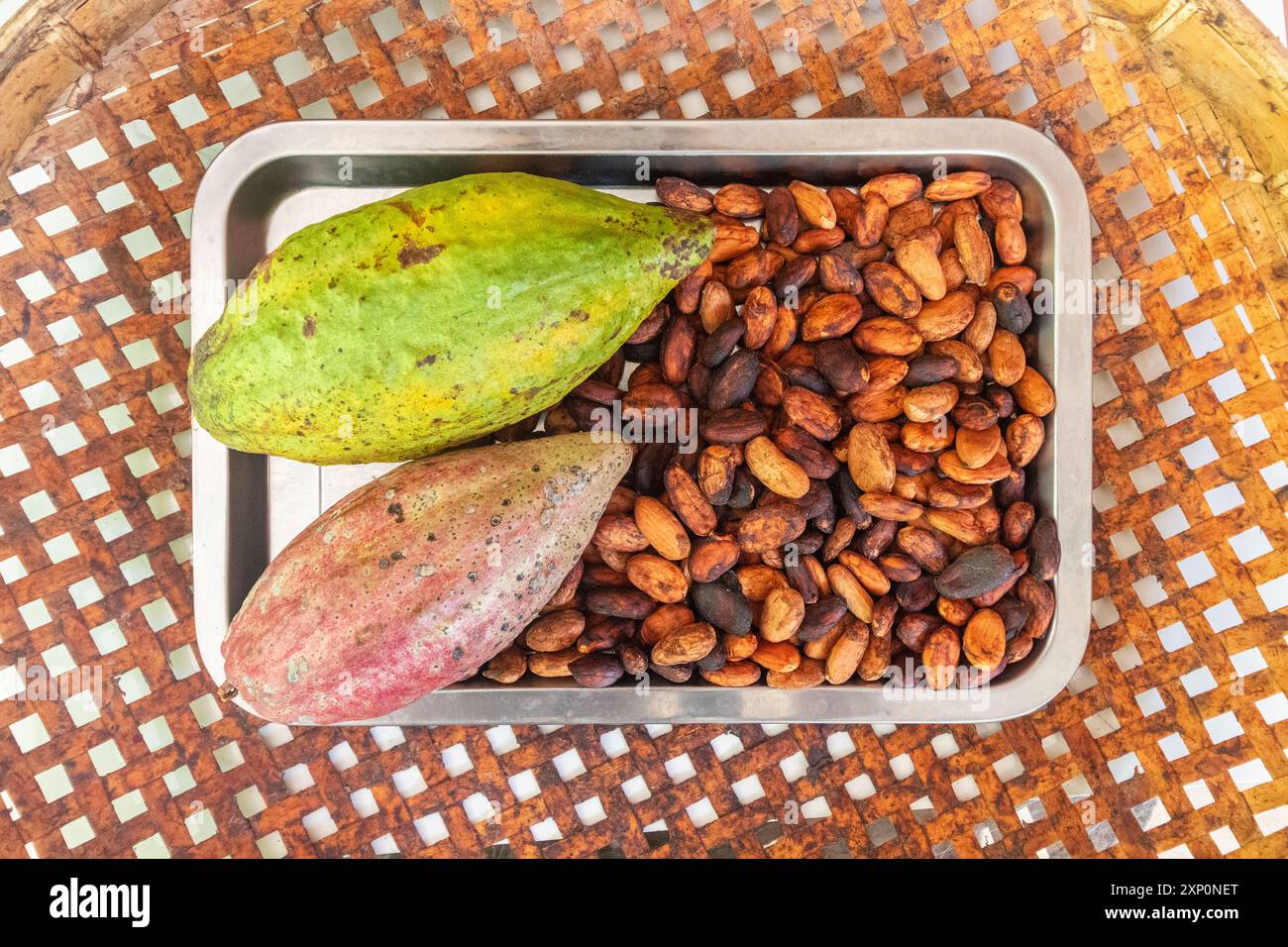 Fèves de cacao destinées à la transformation dans une ferme de production de chocolat située à Ilocos, aux Philippines Banque D'Images Fèves de cacao destinées à la transformation dans une ferme de production de chocolat située à Ilocos, aux Philippines Banque D'Images