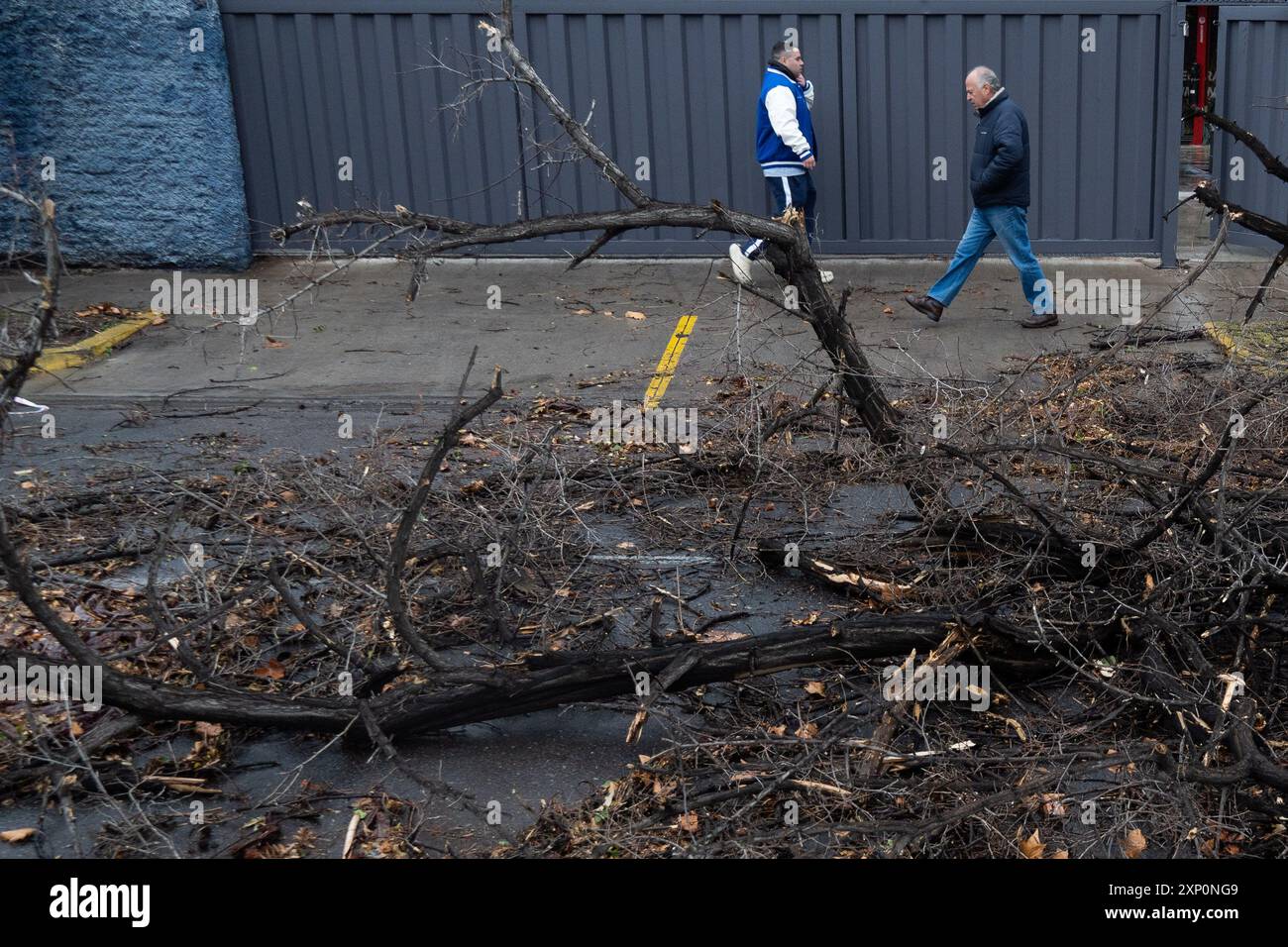 Santiago, Metropolitana, Chili. 2 août 2024. Les gens marchent près d'un arbre tombé dans la rue après de forts vents à Santiago, au Chili. La capitale a enregistré ses vents les plus forts de l'histoire, atteignant 100 km/h dans certaines zones. (Crédit image : © Matias Basualdo/ZUMA Press Wire) USAGE ÉDITORIAL SEULEMENT! Non destiné à UN USAGE commercial ! Banque D'Images