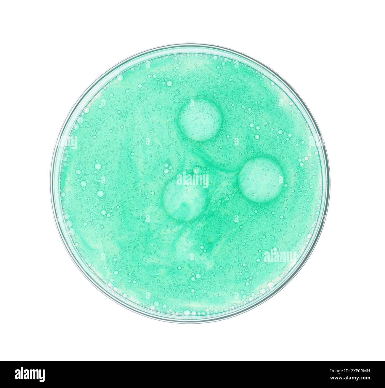 Boîte de Petri avec échantillon isolé sur blanc, vue de dessus Banque D'Images