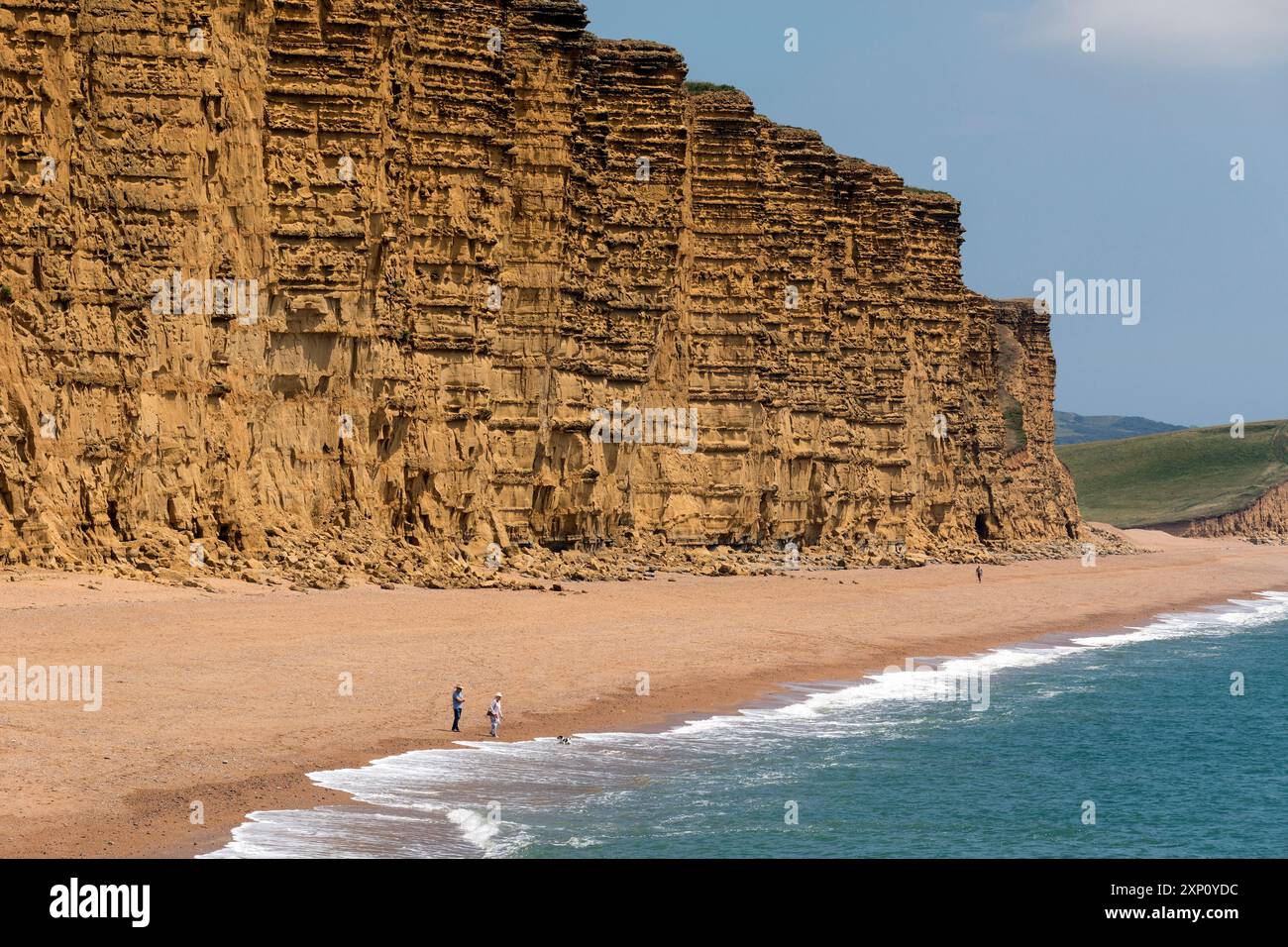 Falaises de West Bay sur la côte jurassique du Dorset sur la côte sud de l'Angleterre. Banque D'Images