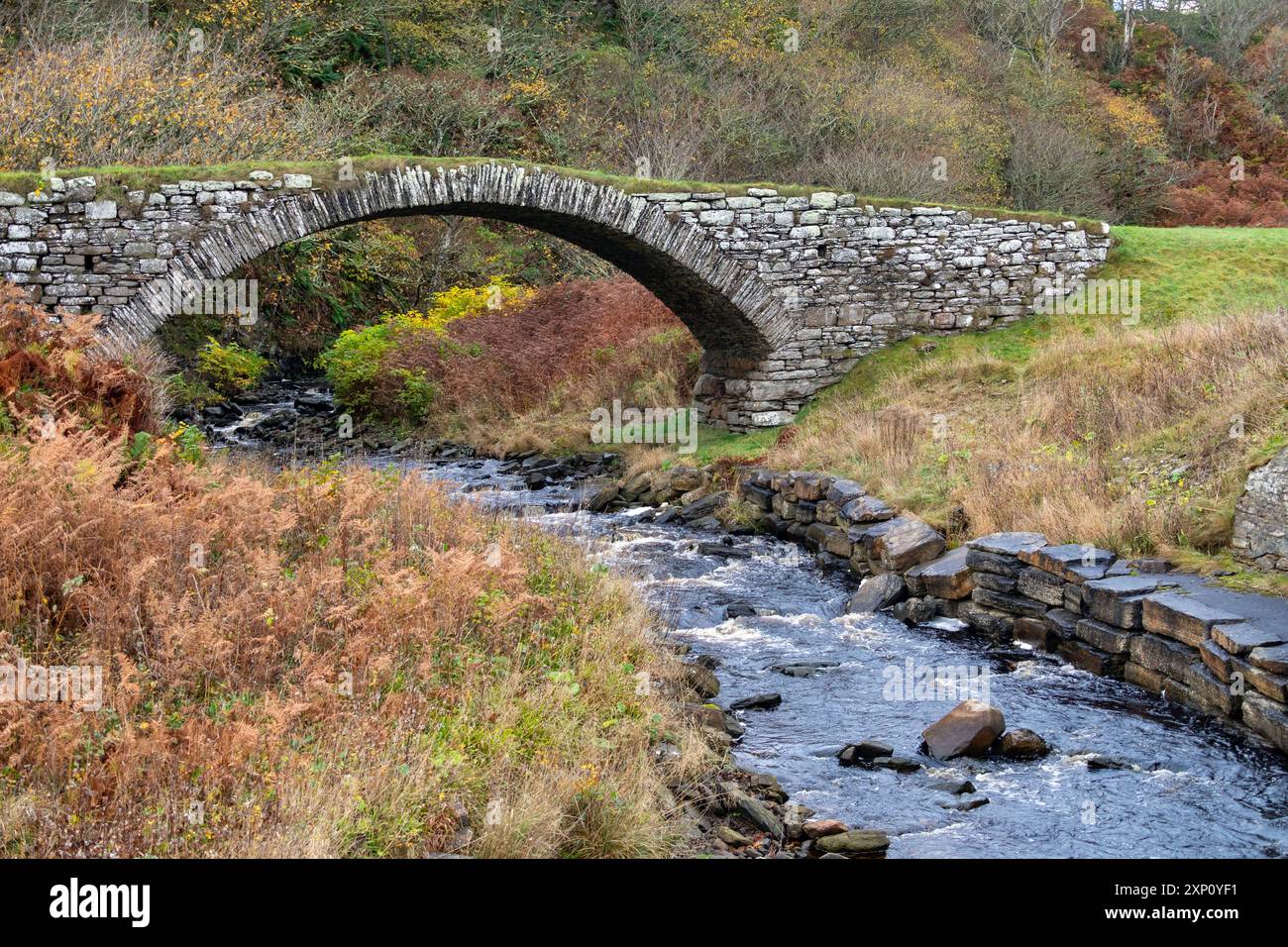 Le vieux pont de pierre sur une petite rivière connue sous le nom de brûlure de Latheronwheel près du port de Latheronwheel à Caithness, en Écosse. Banque D'Images