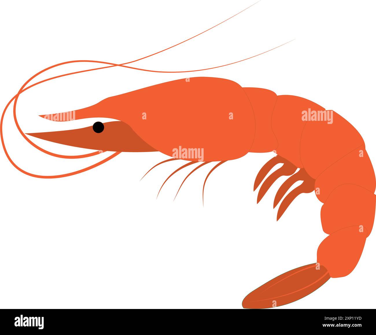 logo-crevette-crevette-isol-e-sur-fond-blanc-crevettes-image