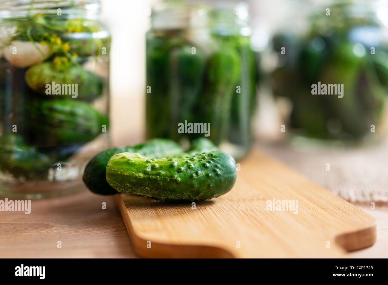 Préparation pour la fermentation des concombres par un procédé de marinage appelé fermentation lactique. De tels concombres fermentés ont une longue durée de conservation et le sont Banque D'Images