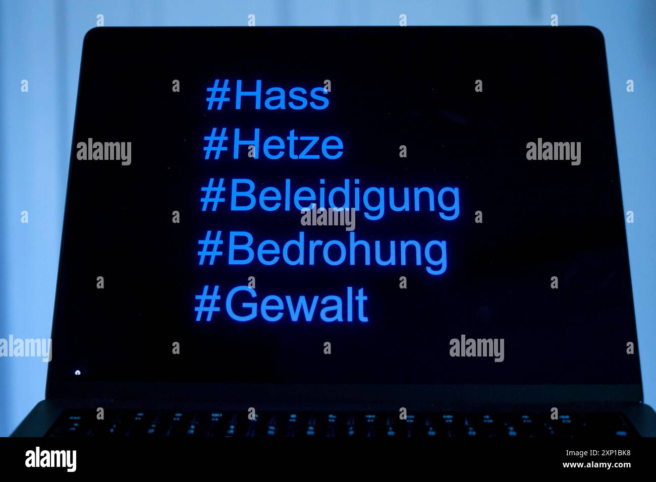 Symbolfoto zum Thema Hass, Hetze und Beleidigungen im Internet *** photo symbolique sur le thème de la haine, des discours de haine et des insultes sur Internet GMS11612 Banque D'Images