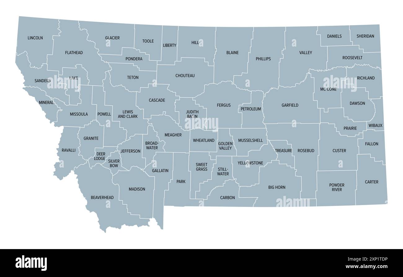Montana, état américain, subdivisé en 56 comtés, carte politique grise avec les frontières et les noms de comté. État de la région Mountain West des États-Unis Banque D'Images