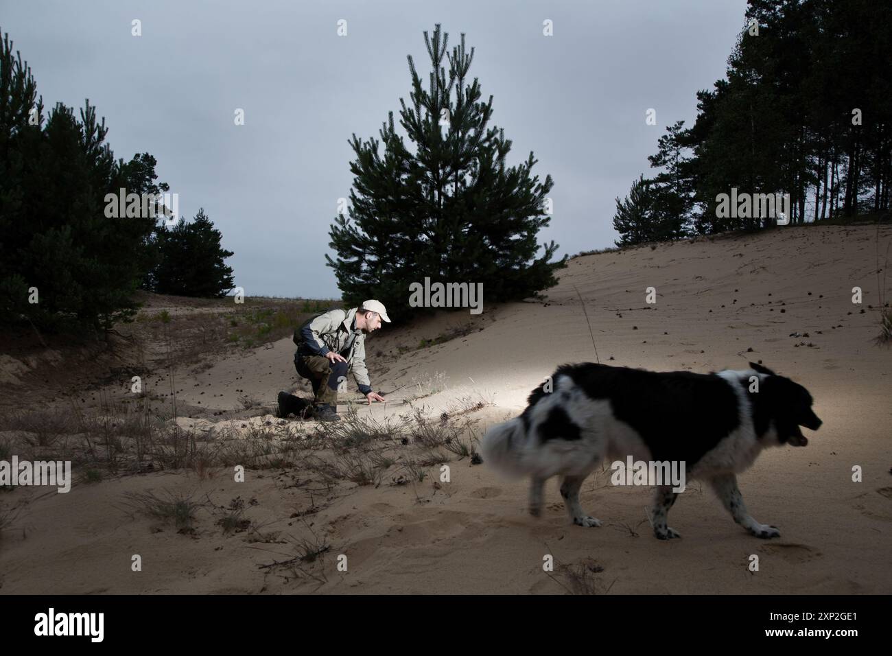 Expert en loup de NABU lors d’une mission de suivi avec un chien dans une ancienne zone minière à ciel ouvert à Lusace, Allemagne, juin 2011. Banque D'Images