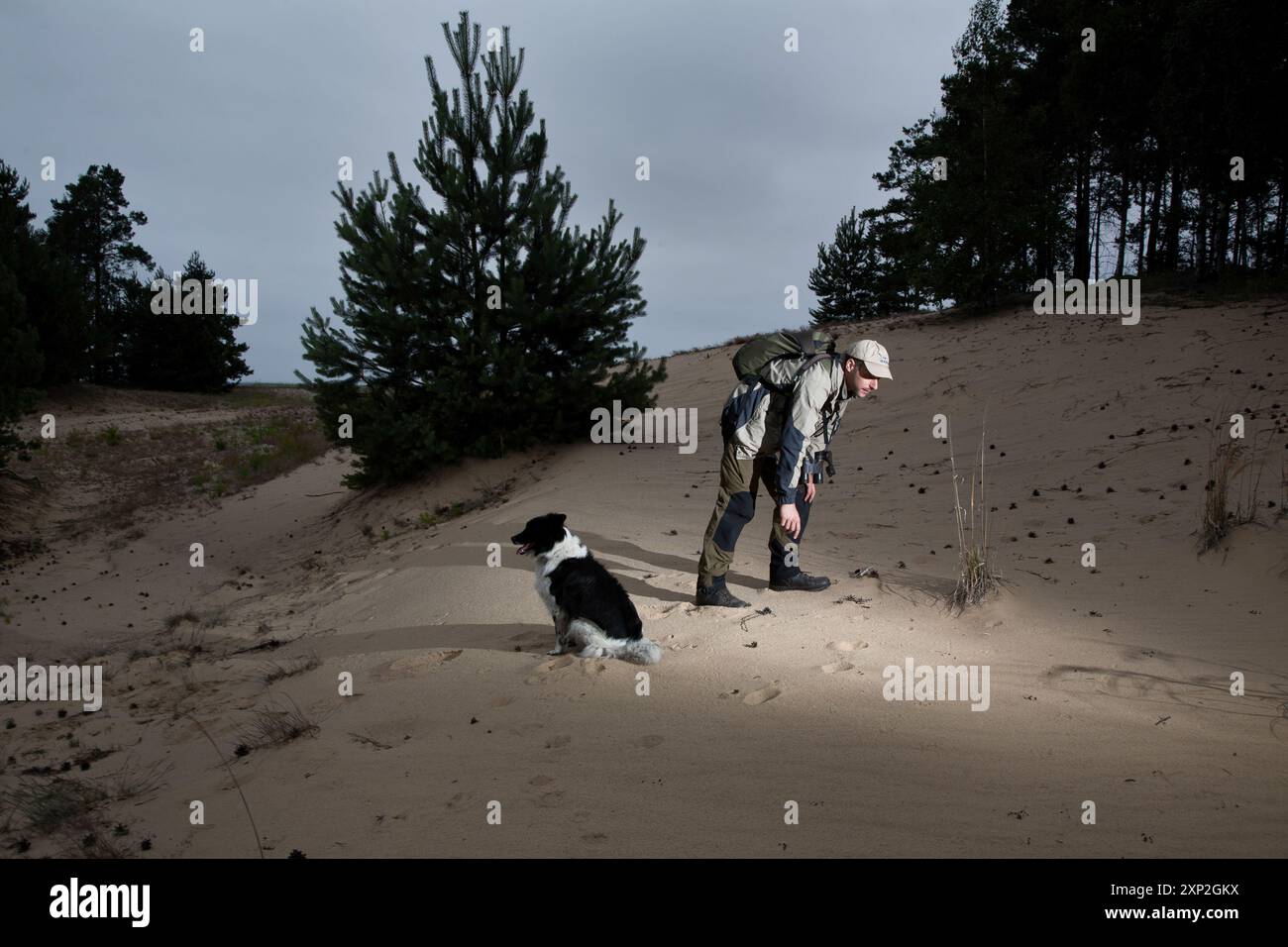 L'expert loup de Nabu, Markus Bathen, a suivi les empreintes de loup avec son chien dans une ancienne zone minière de Lusace, Allemagne, juin 2011. Banque D'Images