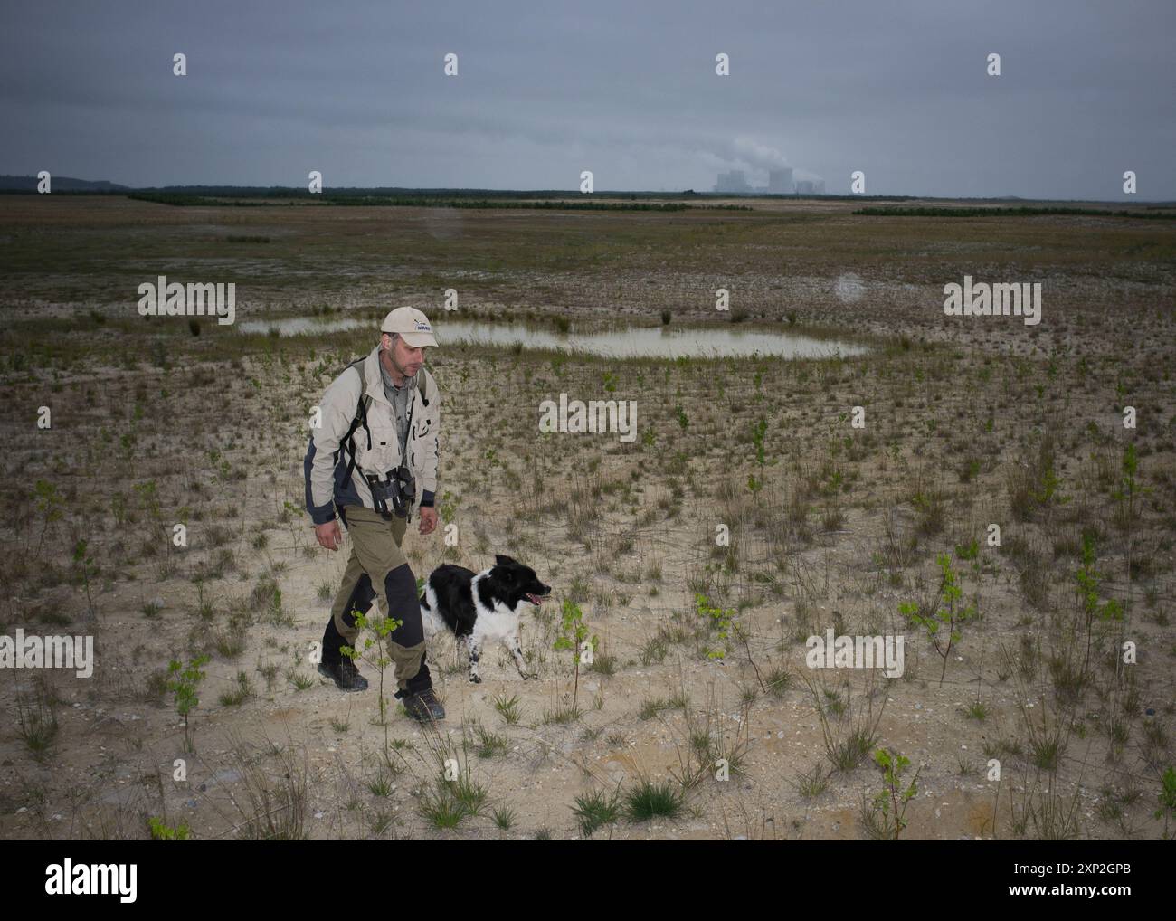 Nabu Wolf expert, sur une recherche sur le terrain avec son chien à Lusatia, Allemagne. Prise dans une ancienne zone minière en juin 2011. Banque D'Images