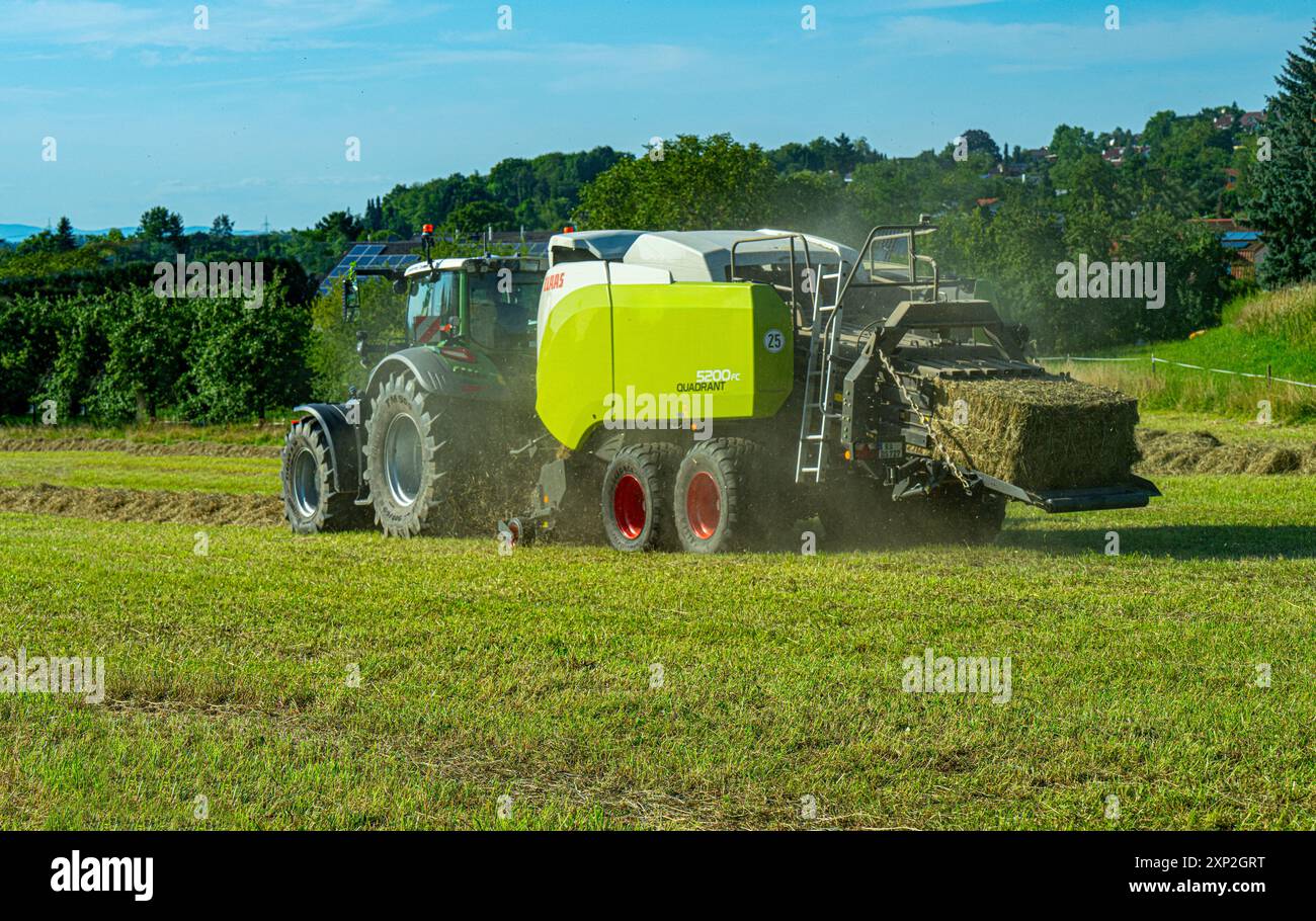 Pressage de foin, ramassage et production de foin par tracteur sur une ferme Banque D'Images