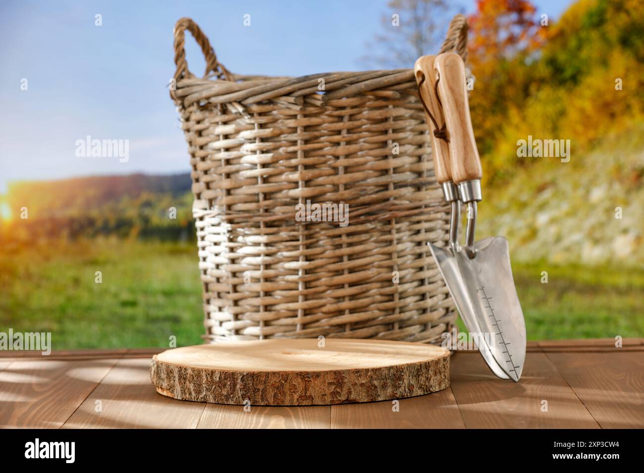 Panier en osier et outils de jardin sur table de jardin d'automne en bois et fond de paysage ensoleillé d'automne Banque D'Images