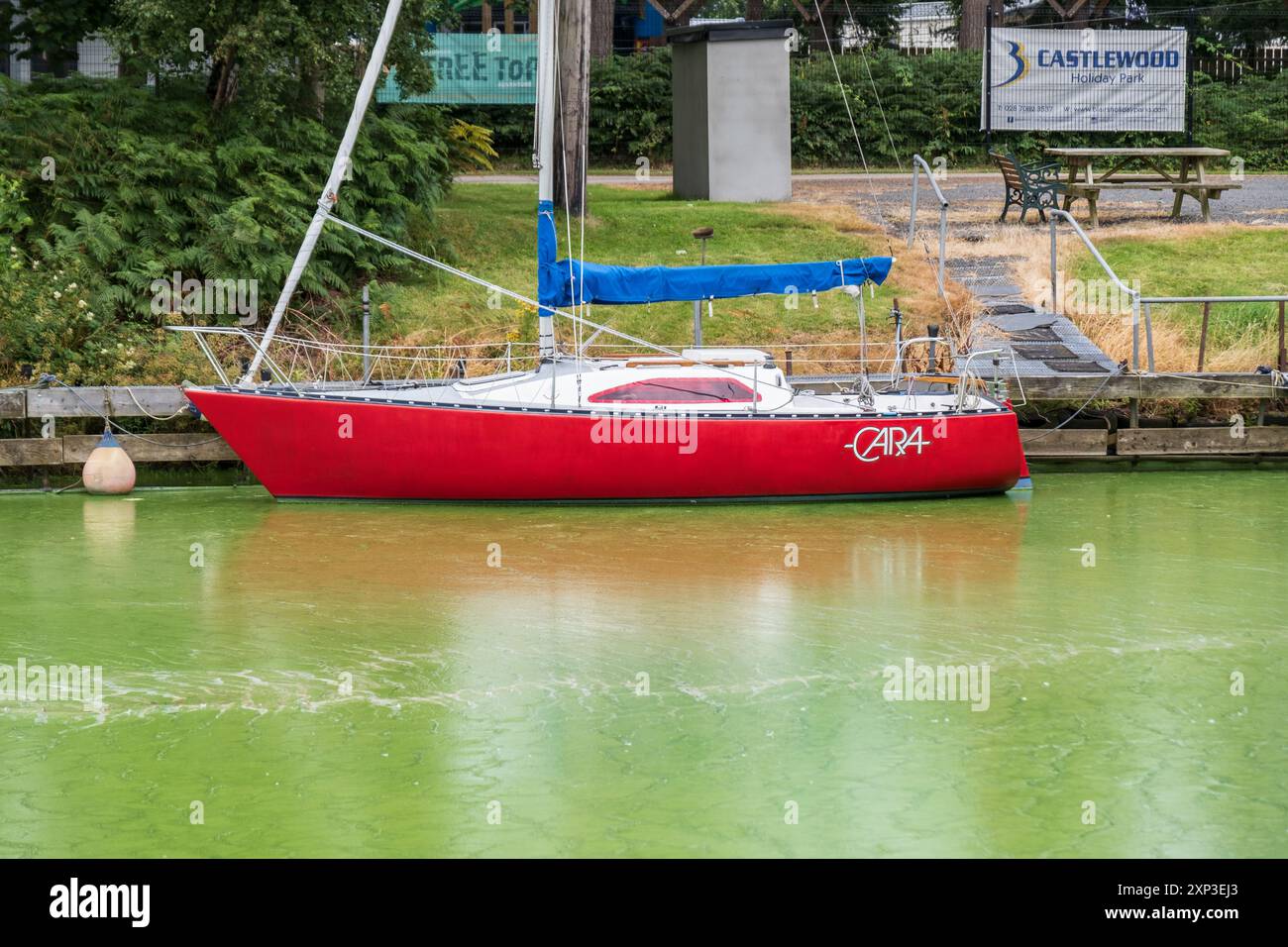Antrim, Irlande du Nord - 3 août 2024 : petit yacht rouge (Cara) est assis dans l'eau verte de l'herbe causée par la prolifération d'algues toxiques menant à la pollution de l'eau. Banque D'Images