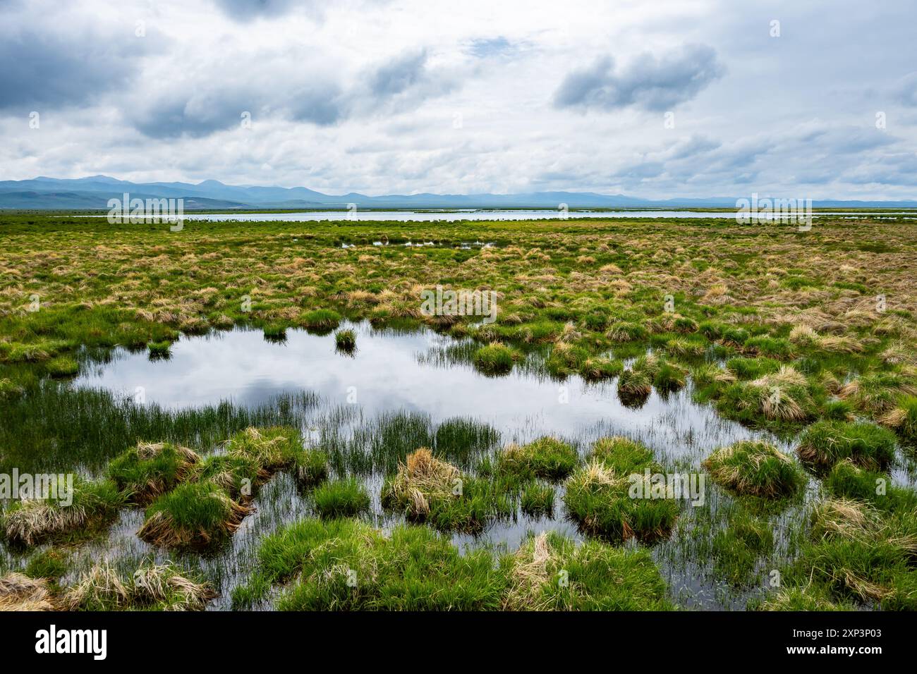 Grandes zones humides ouvertes dans la réserve naturelle de Flower Lake. Ruoergai Wetland et Zoige Marsh, Sichuan, Chine. Banque D'Images