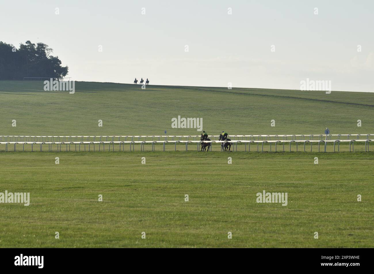 Galops de chevaux de course à Newmarket Suffolk Angleterre Royaume-Uni Banque D'Images