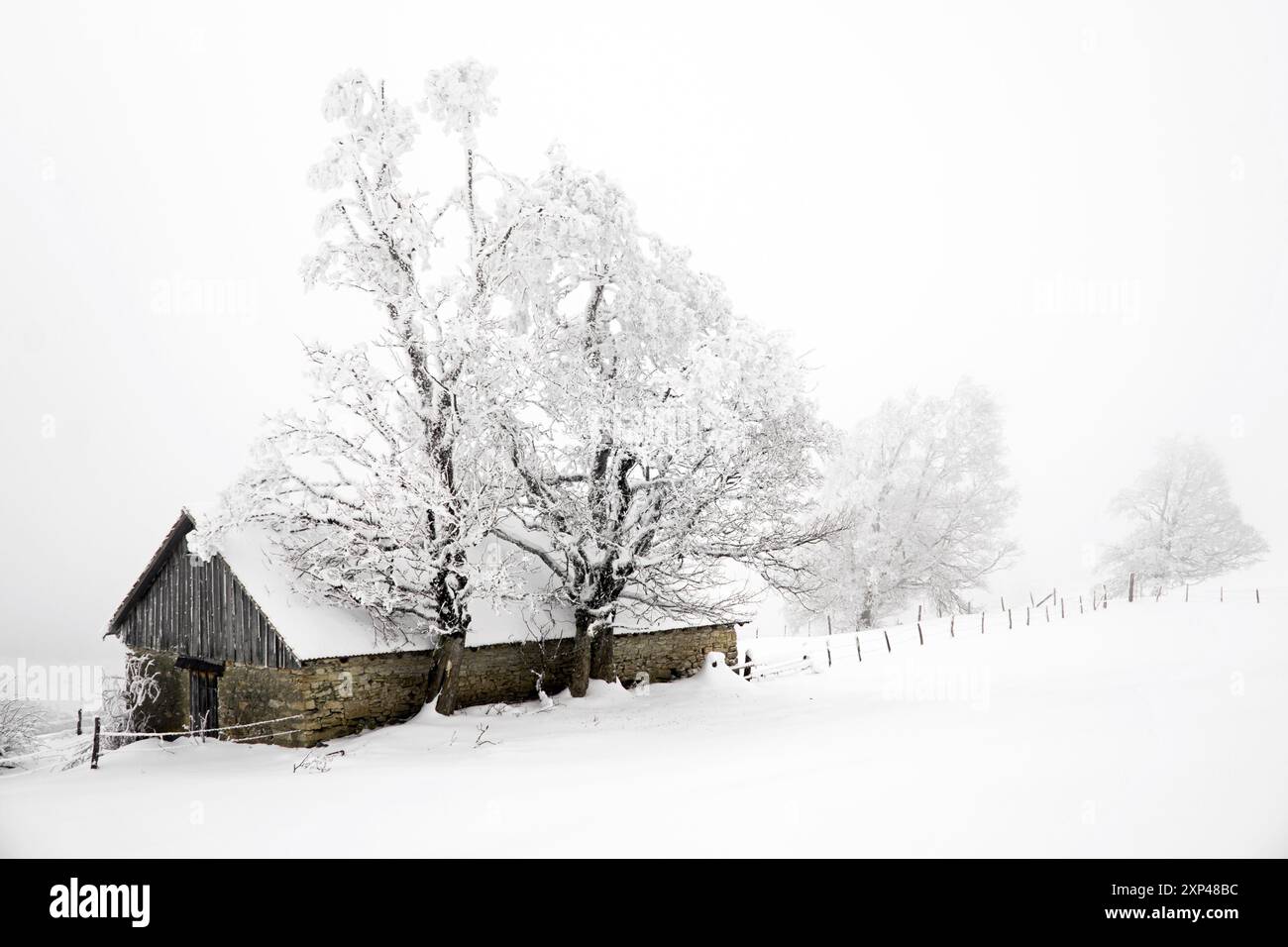 Passwang, Passwang SO, Mümliswil, Ramiswil, Soleure, Thal, Parc naturel de Thal, Suisse, Suisse du Nord-Ouest Banque D'Images