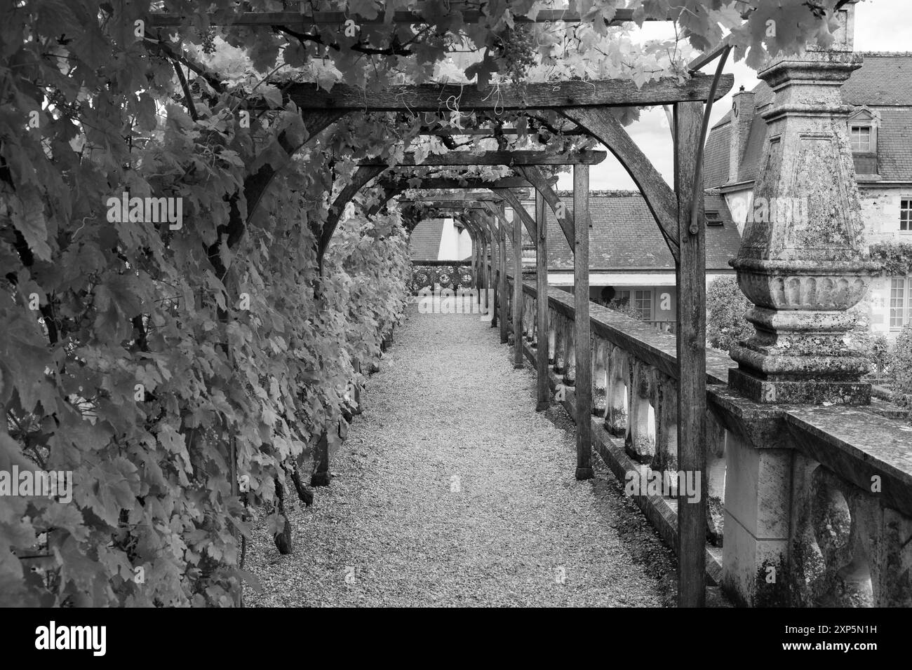 Château Villandry dans la vallée de la Loire Banque D'Images