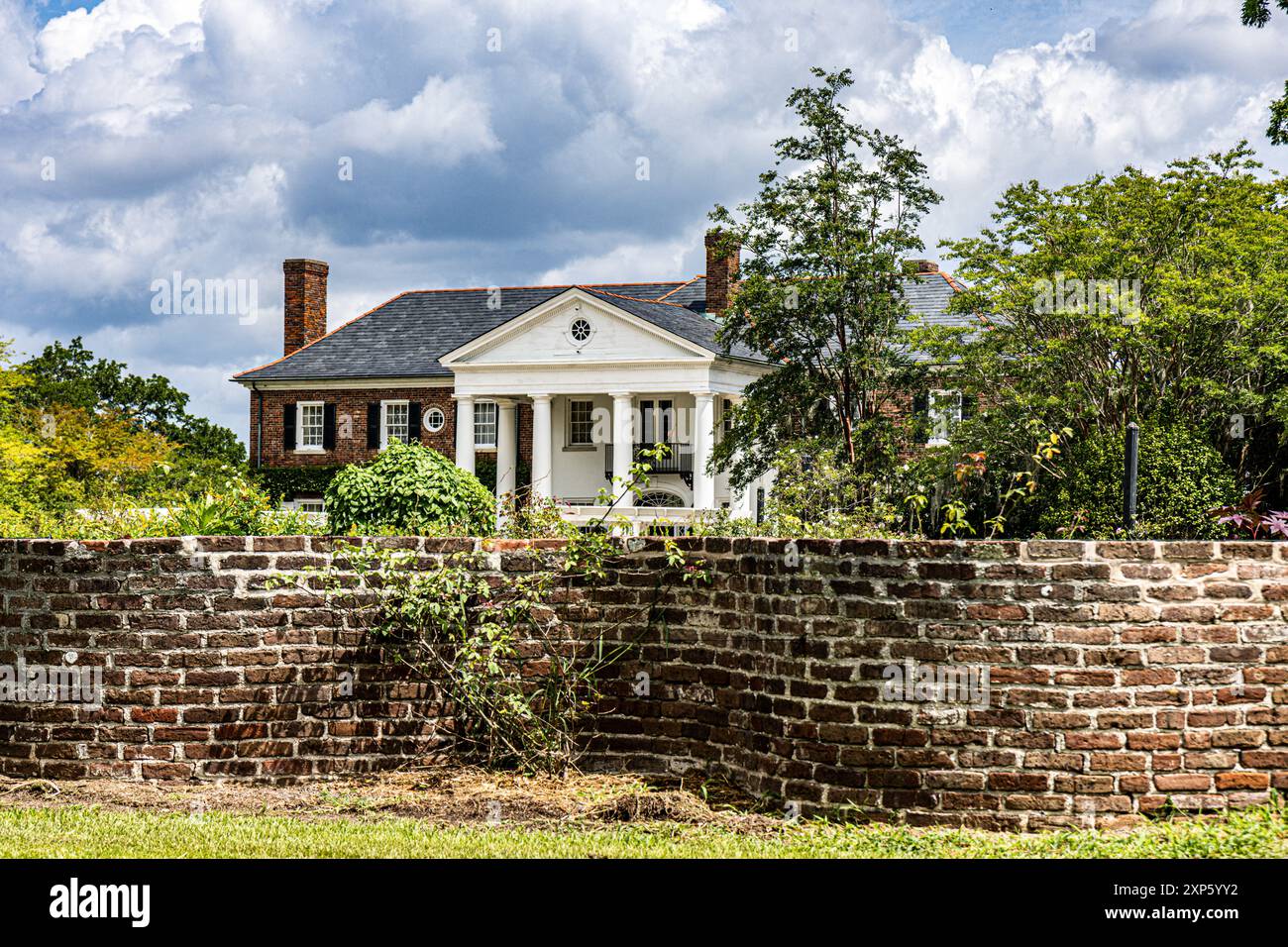 Plantation Boone's Hall située à Mt Pleasant près de Charleston, Caroline du Sud États-Unis Banque D'Images