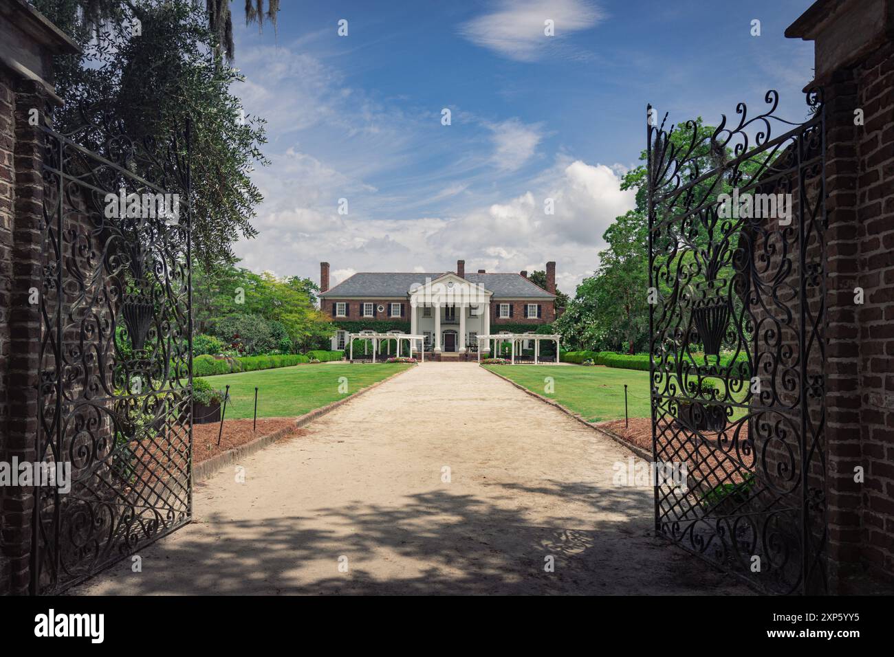 Plantation Boone's Hall située à Mt Pleasant près de Charleston, Caroline du Sud États-Unis Banque D'Images