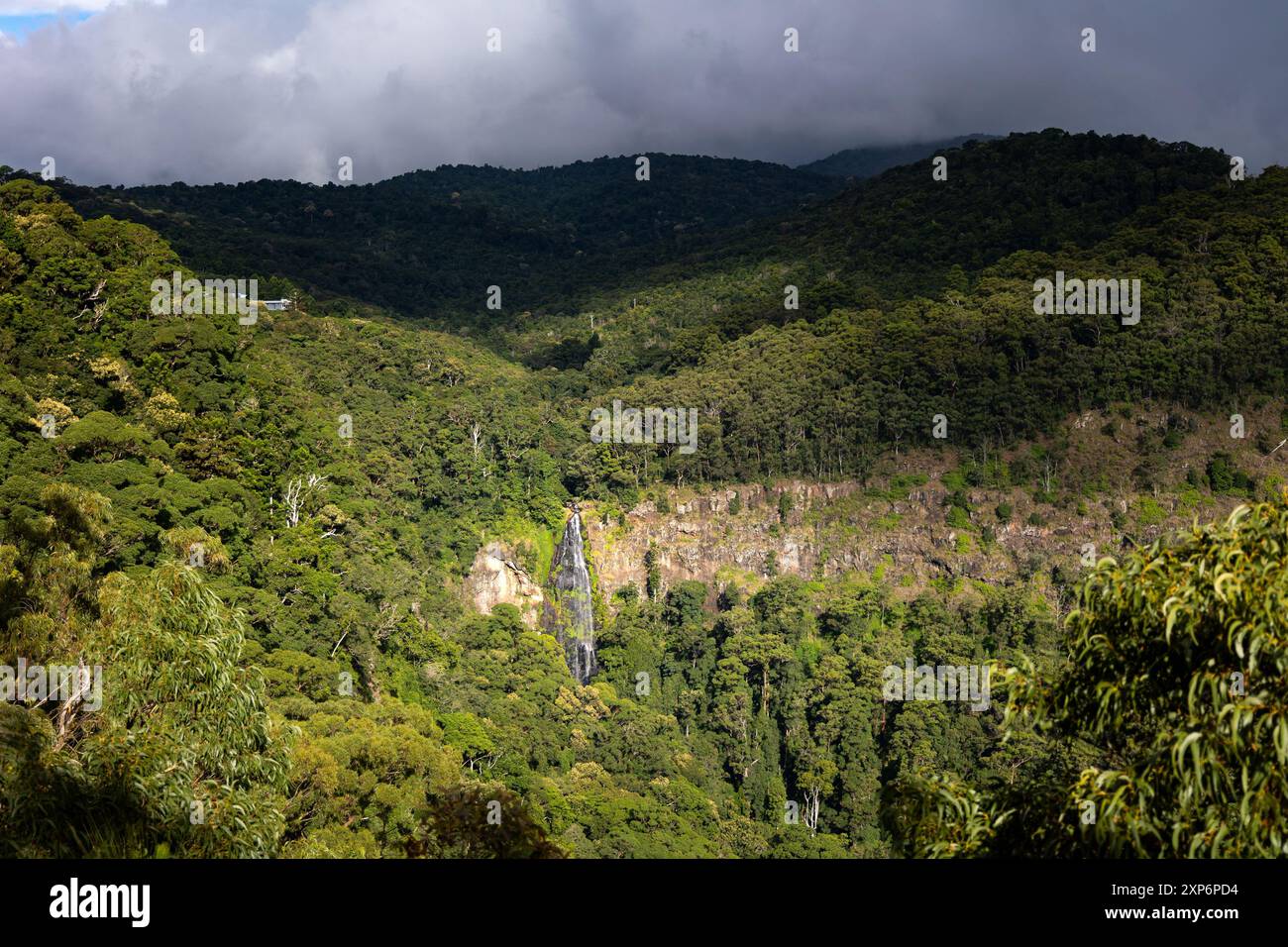 Une cascade pittoresque descend une pente verdoyante et recouverte de forêt sous un ciel couvert. Banque D'Images