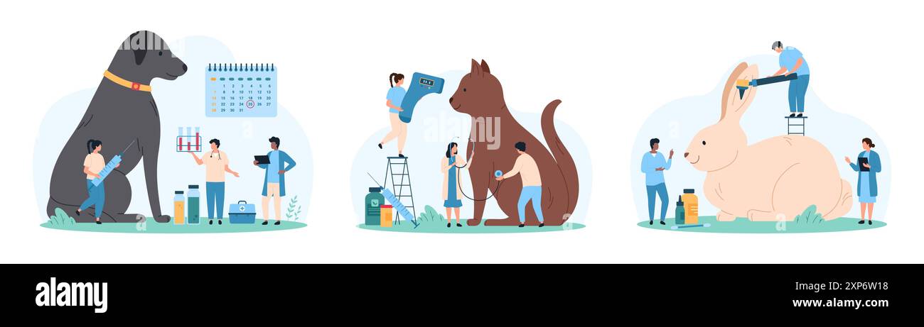Examen médical de l'animal de compagnie en coffret vétérinaire hospitalier. De minuscules personnes avec thermomètre infrarouge et stéthoscope vérifient la santé des chats, font l'examen d'otoscope et la vaccination sur l'illustration vectorielle de dessin animé de date Illustration de Vecteur