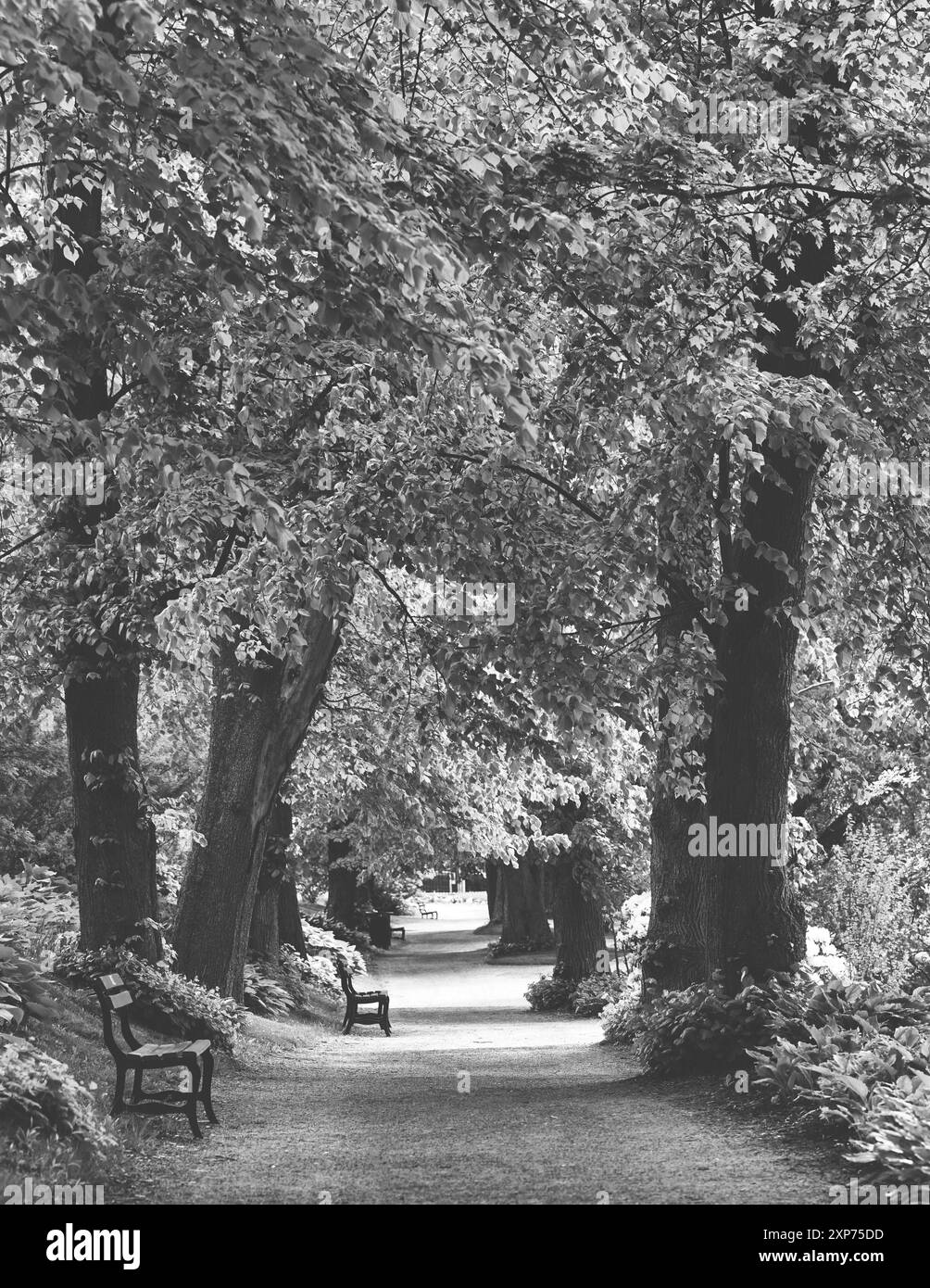 Un sentier tranquille dans les jardins publics victoriens à Halifax, en Nouvelle-Écosse. Banque D'Images