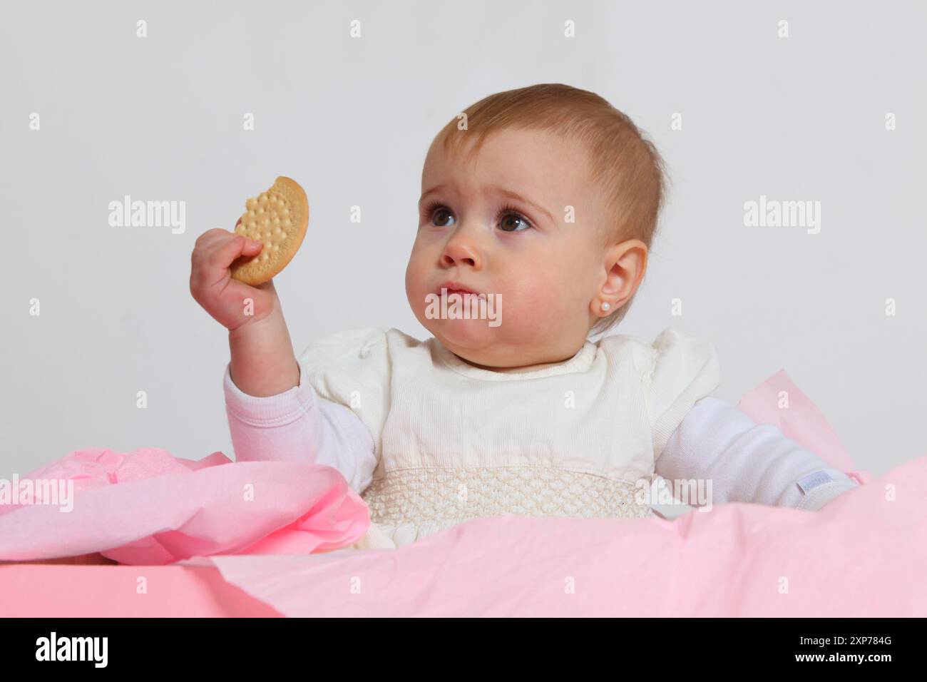 portrait d'une petite fille mignonne mangeant un cookie sur fond blanc Banque D'Images